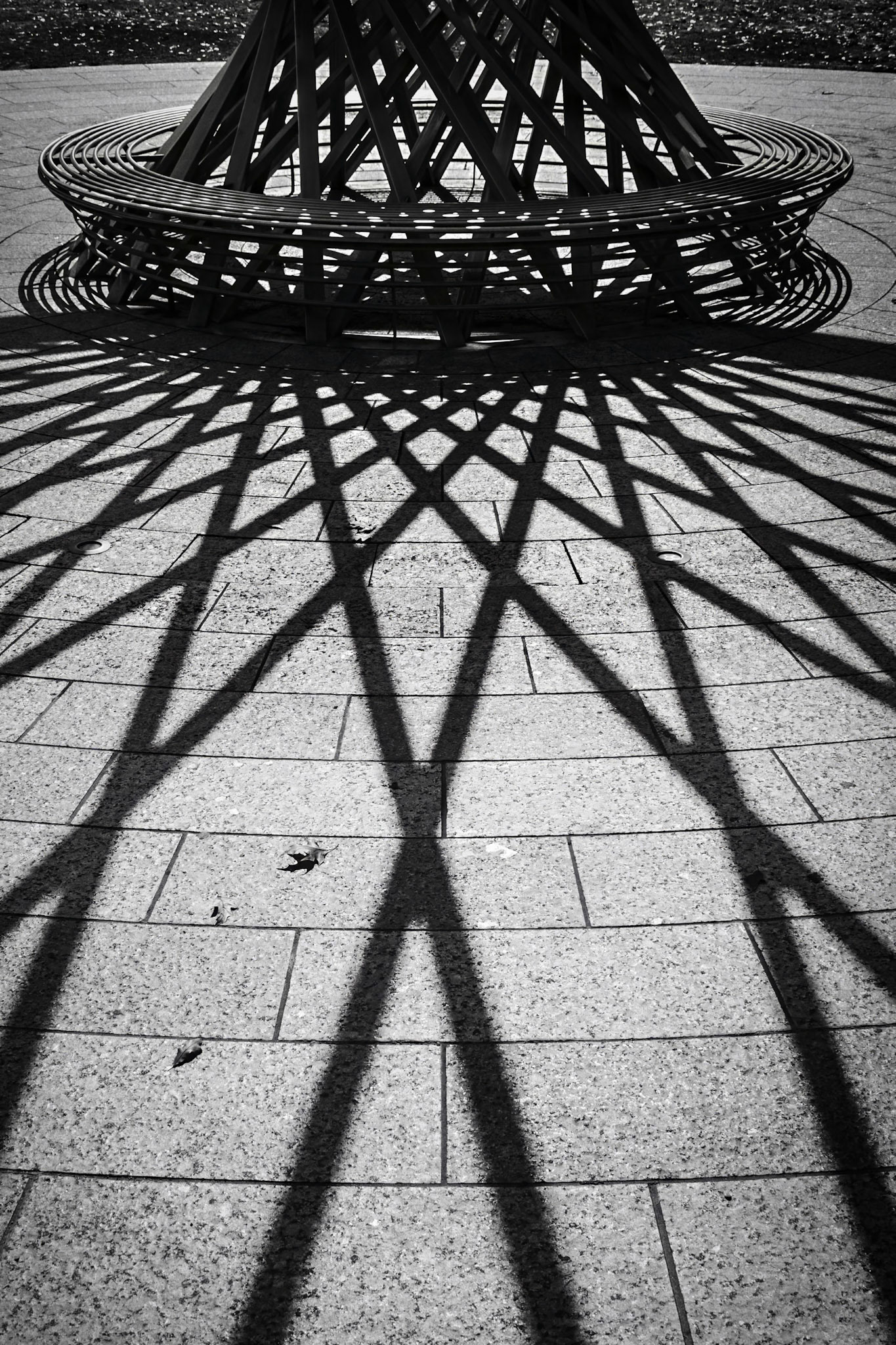 Symmetry In The Shadow