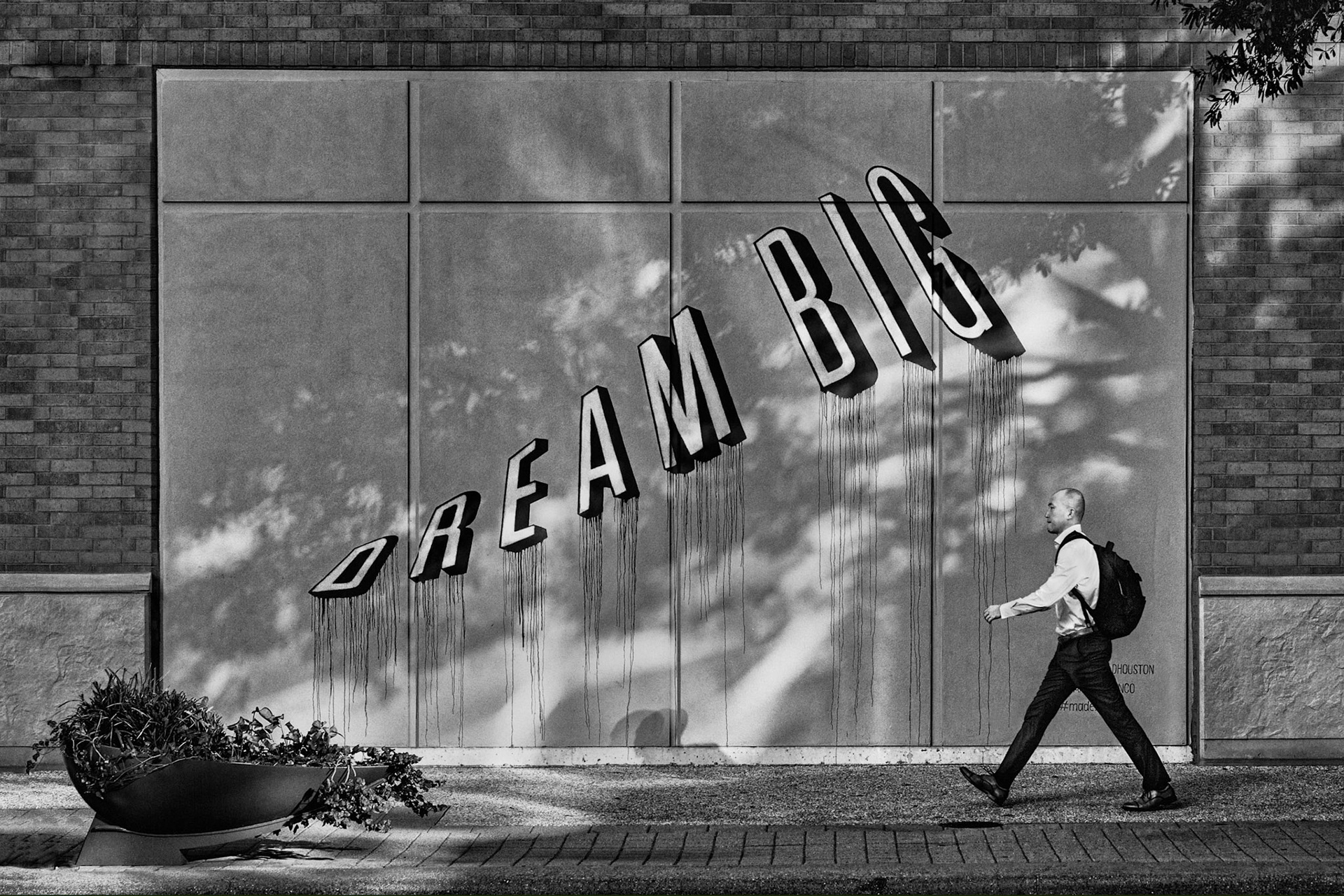 DREAM BIG