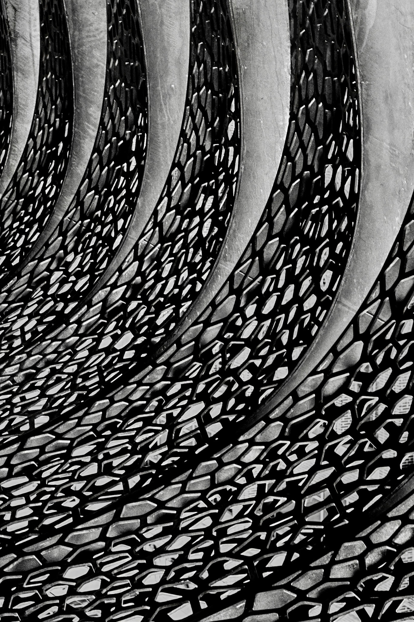 Lattice Abstract