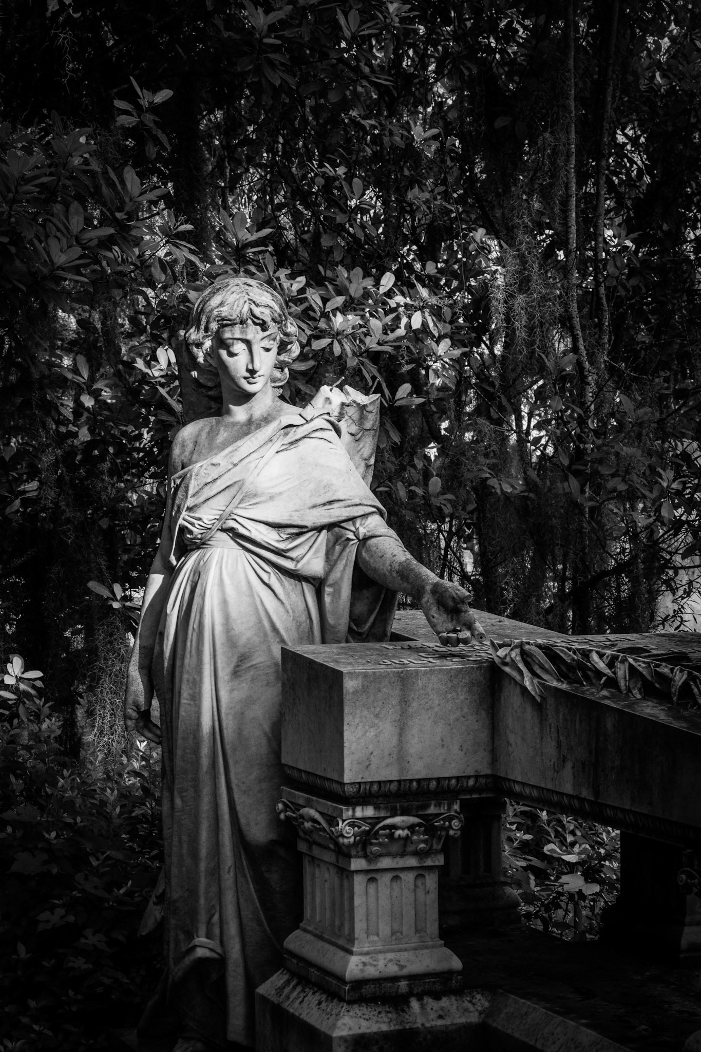 Bonaventure Angel