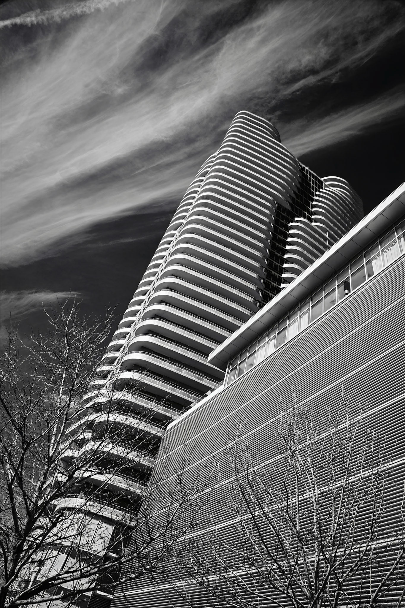 Ribbons Trace The Sky