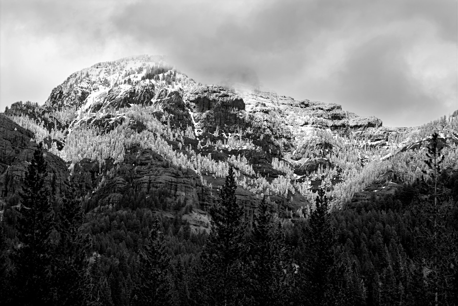 Hoarfrost On The Mountain