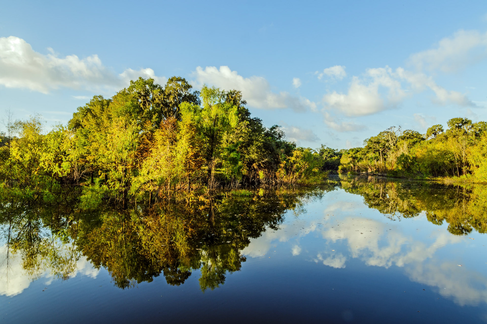 Hale Lake Reflections