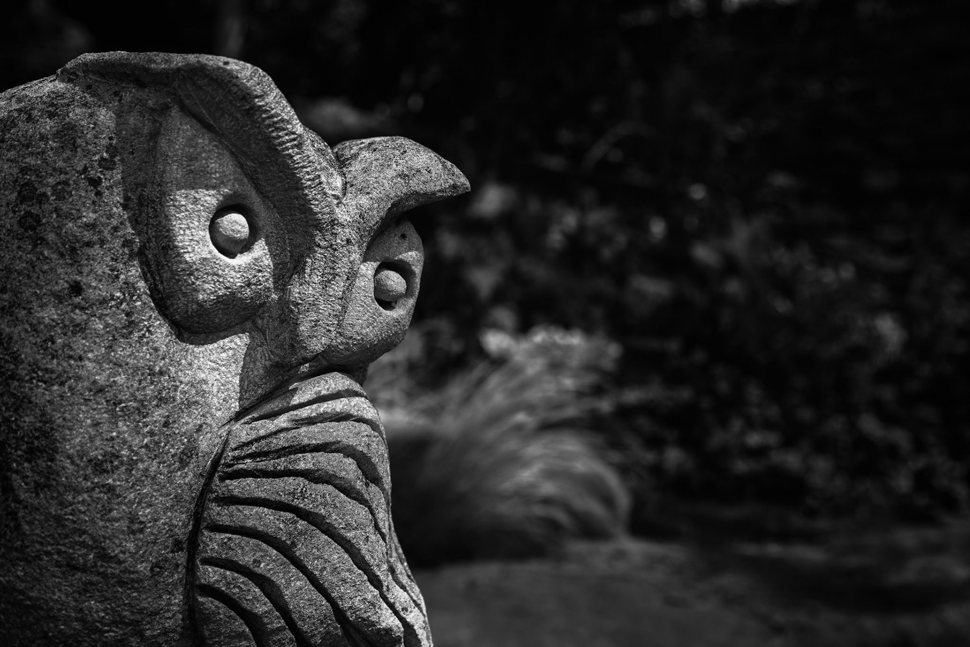 Stone Owl In The Gardens