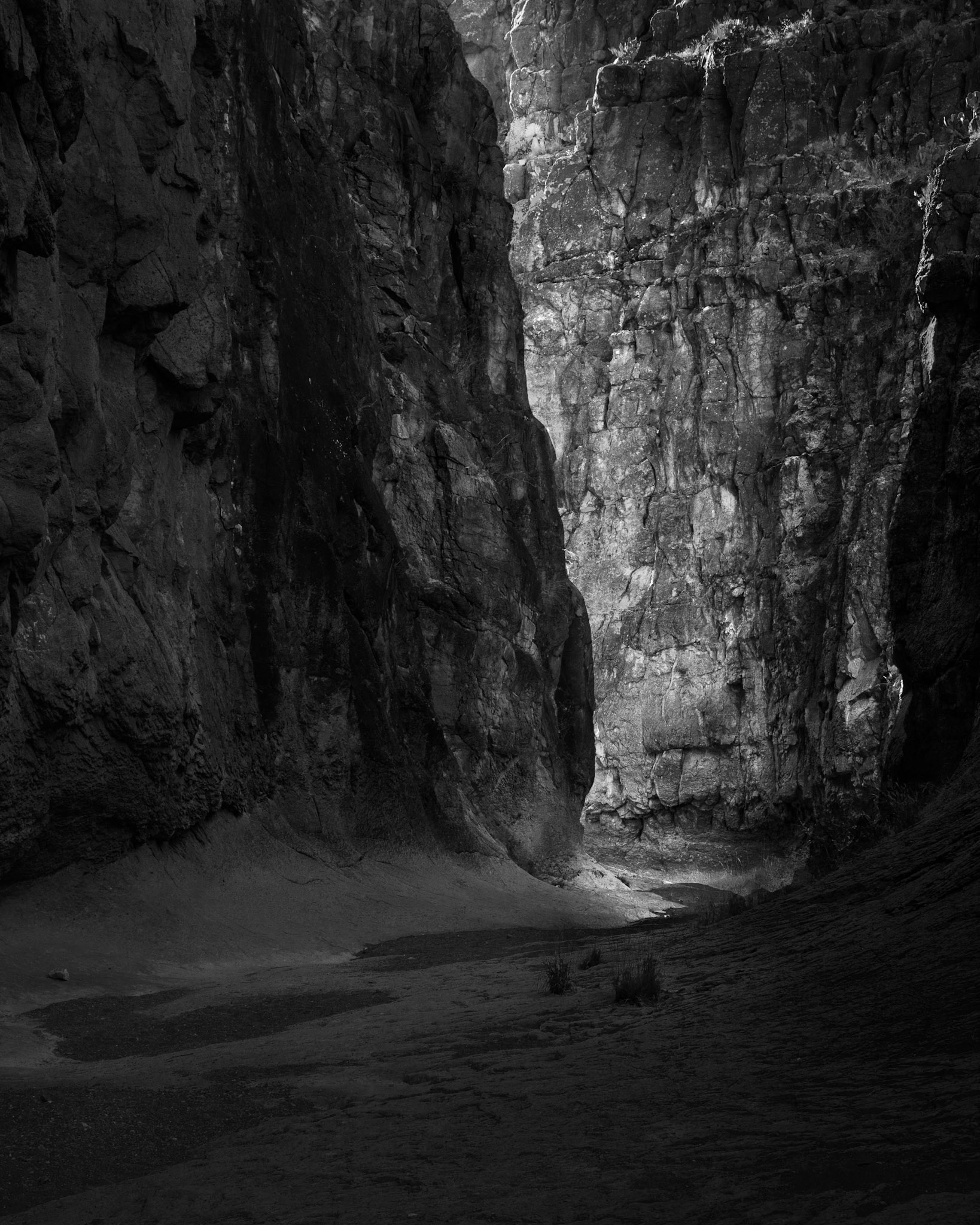The Light Beckons