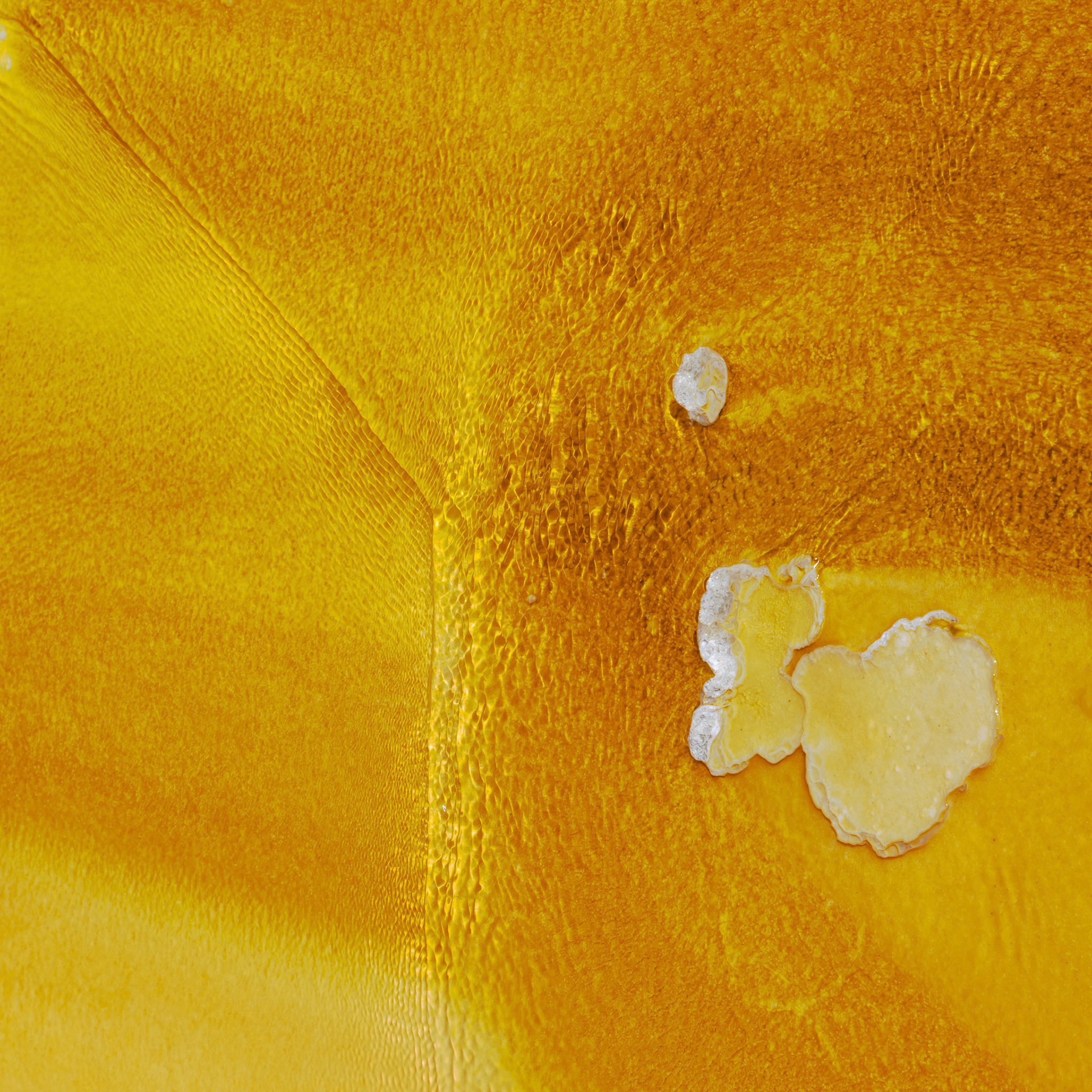 OMG It's So Yellow!