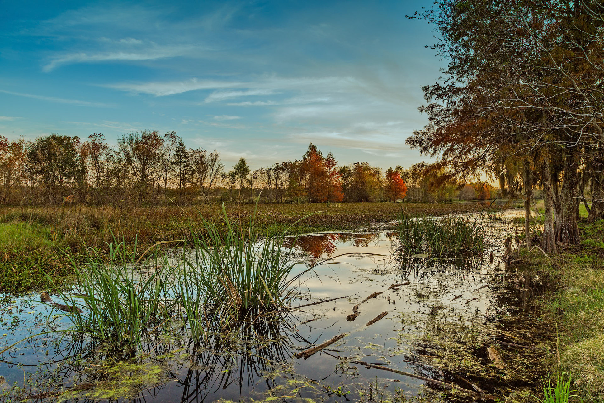 Evening Light At Elm Lake