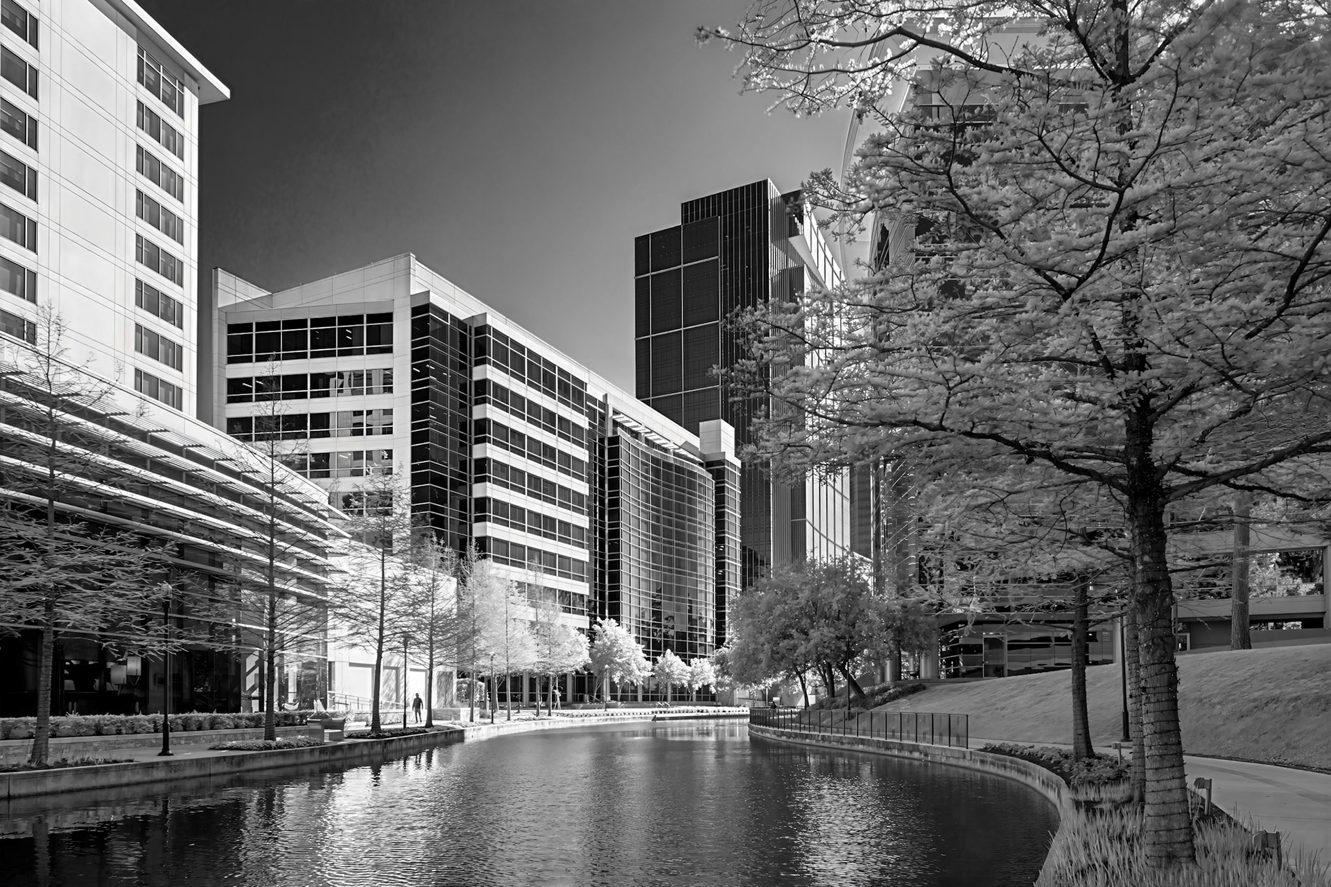 Along The Woodlands Waterway