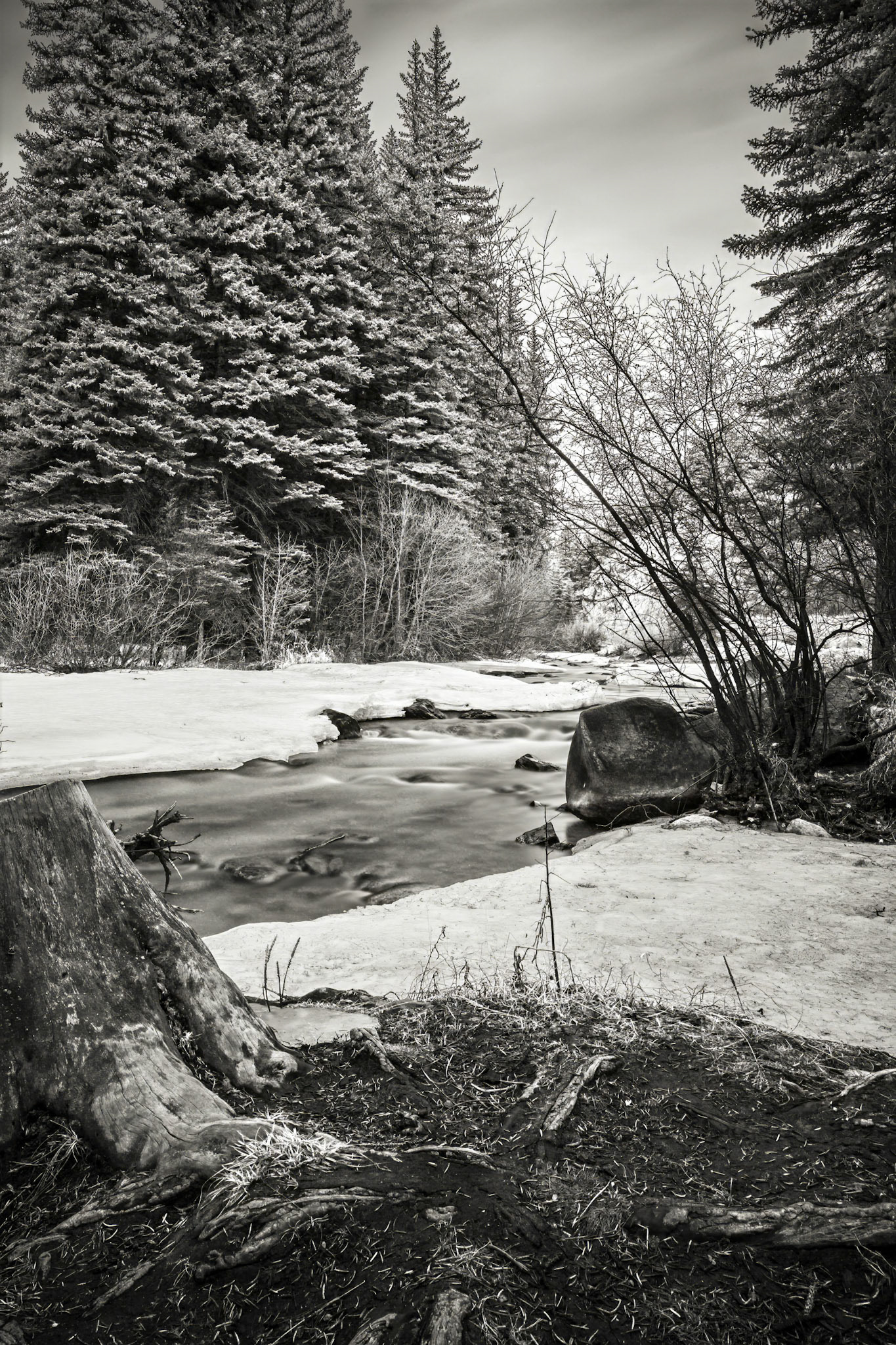 Whispers Of Winter