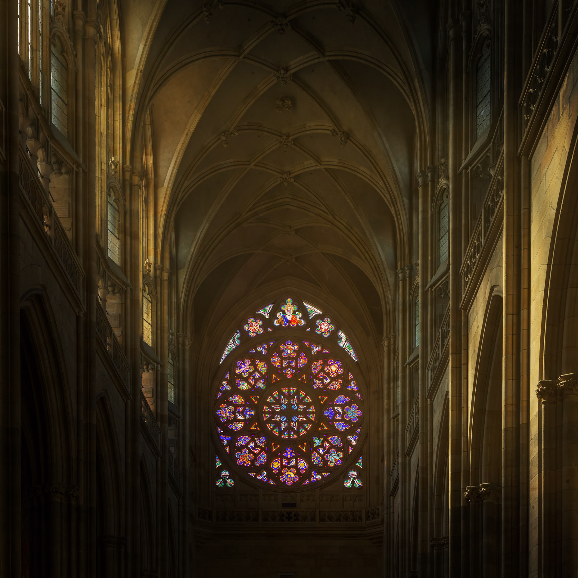 Light In The Cathedral
