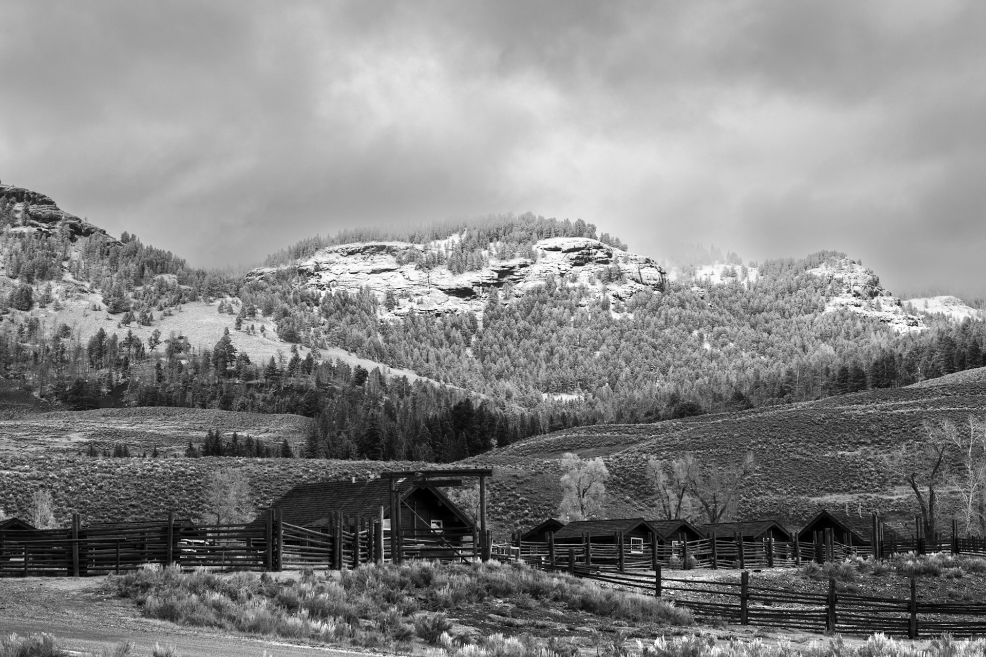 Morning At Lamar Buffalo Ranch