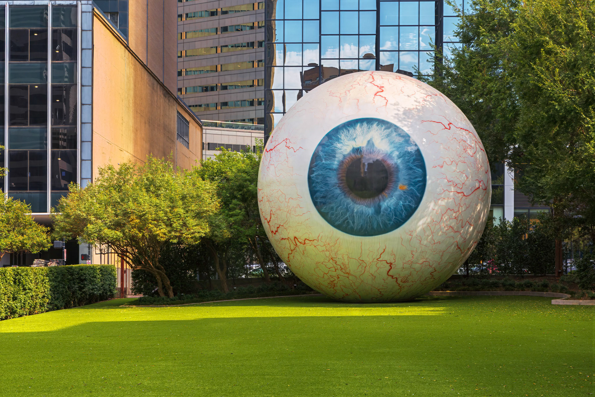 Eye
