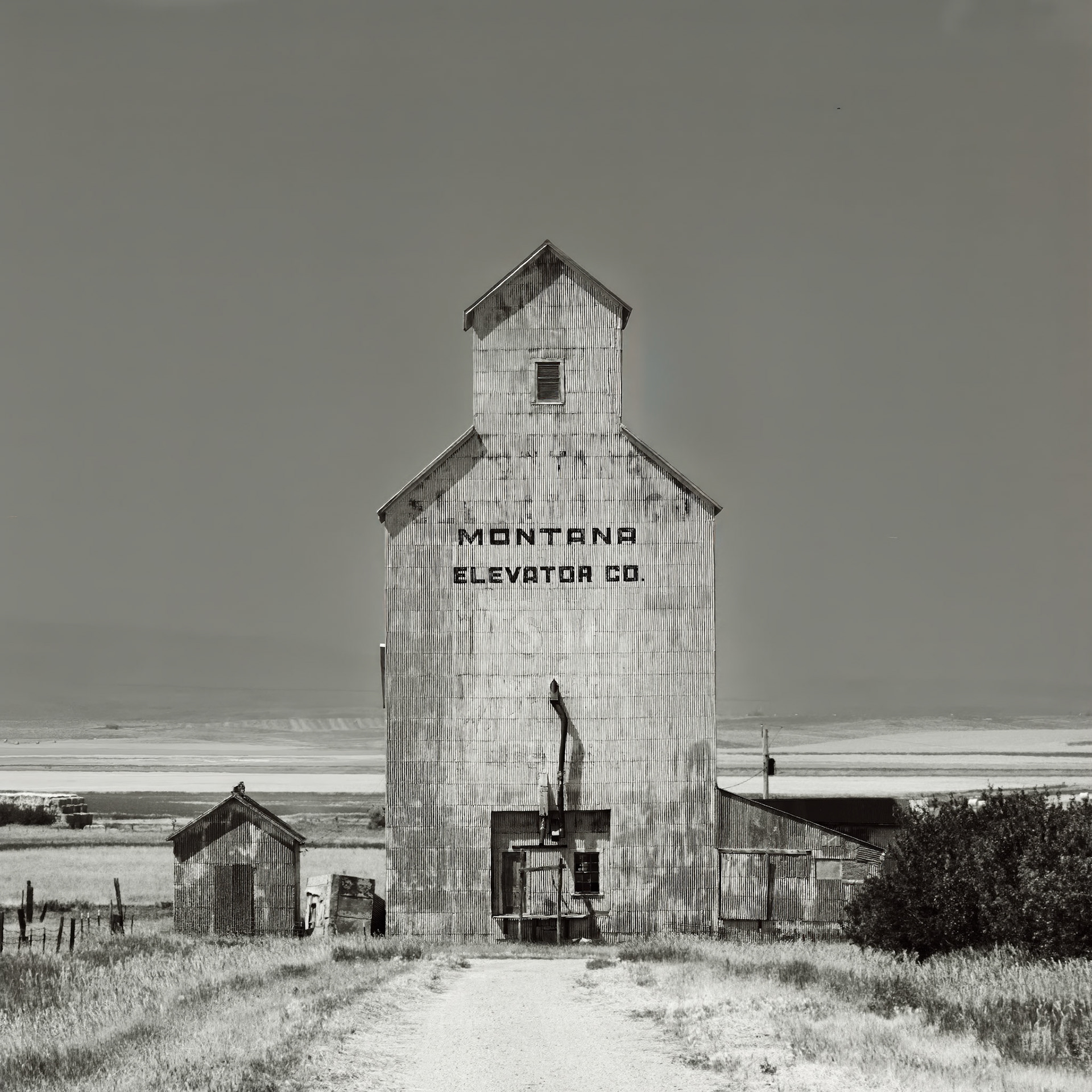 MONTANA ELEVATOR CO.