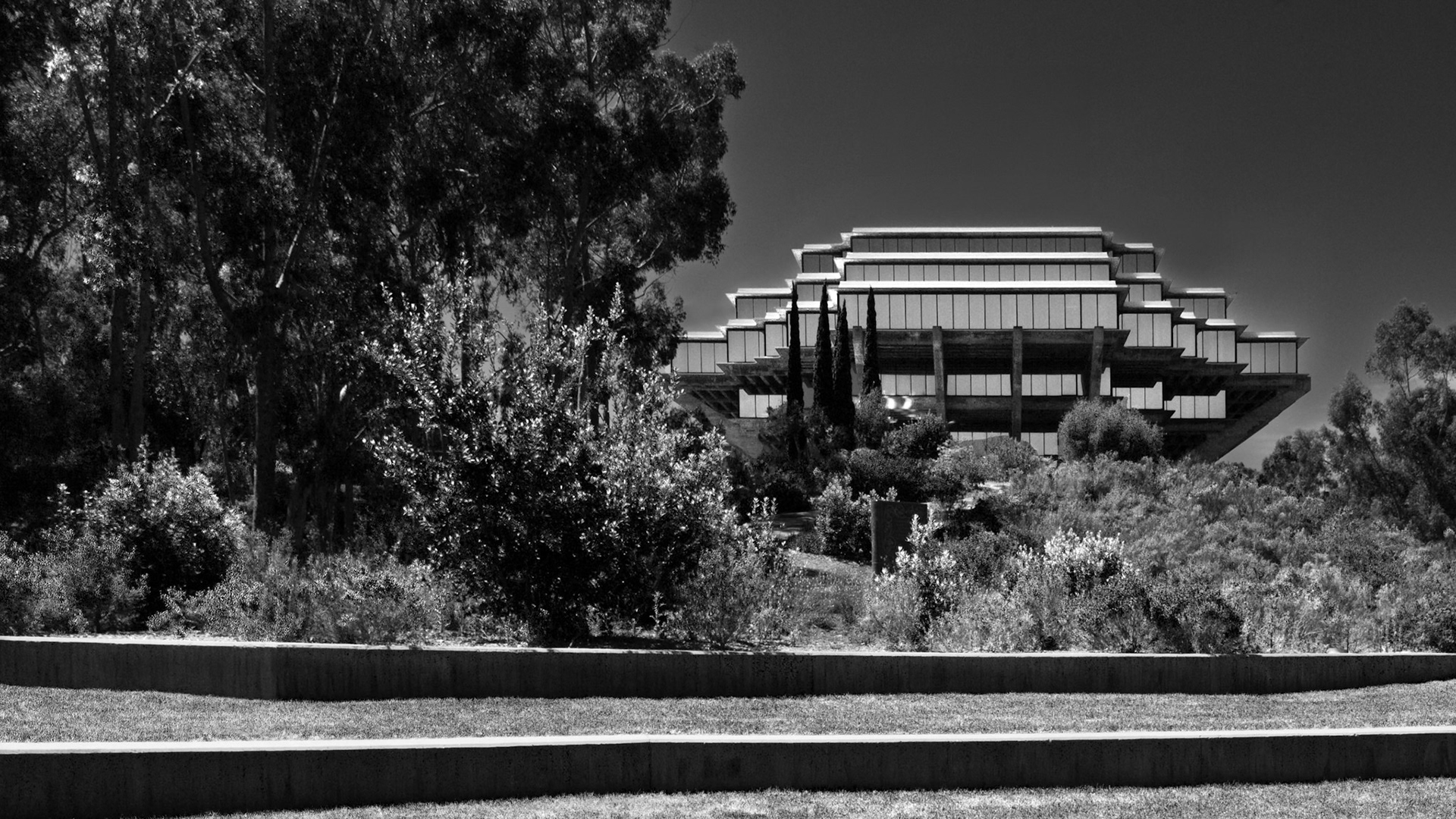 Geisel Library #1