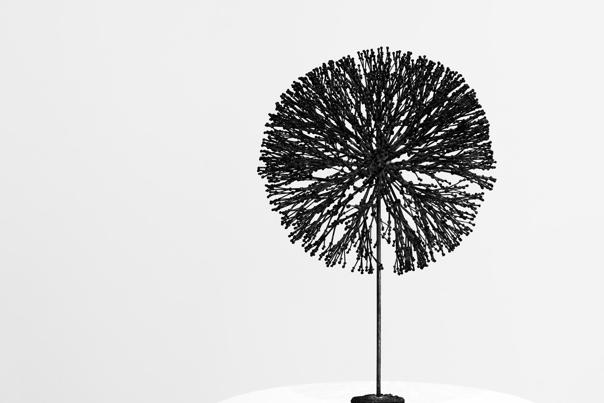 Artistic Bush