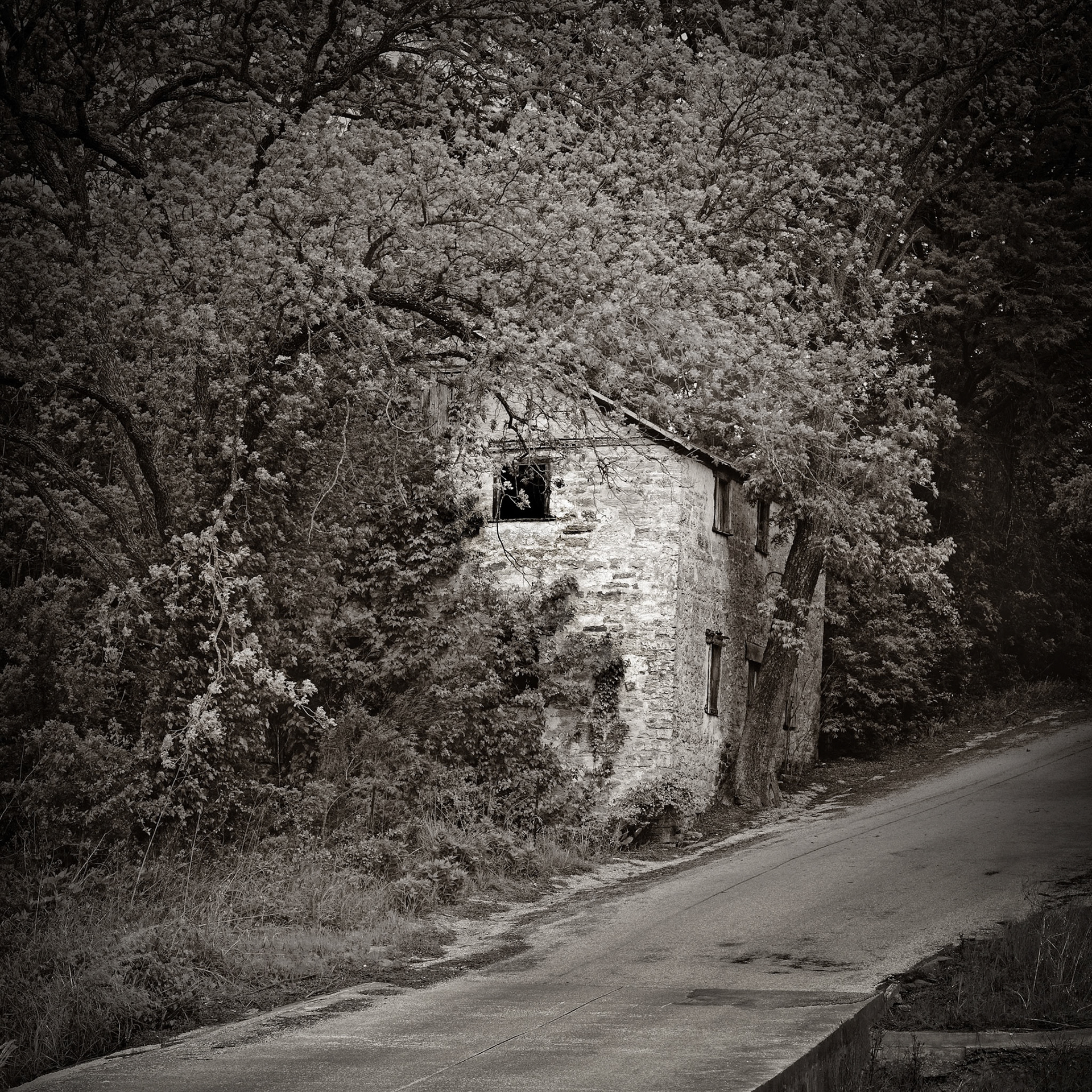 Lange's Mill