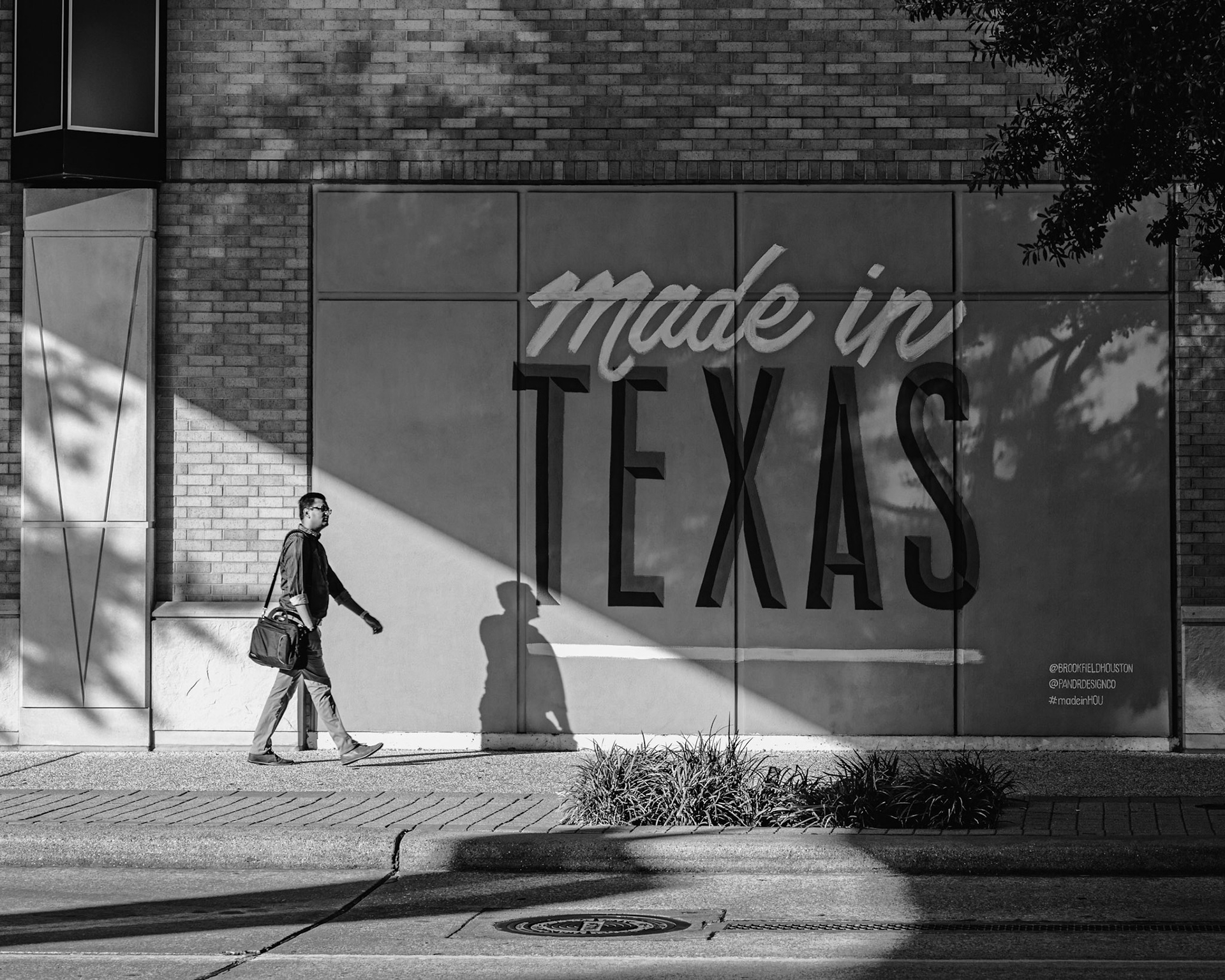 Made in TEXAS