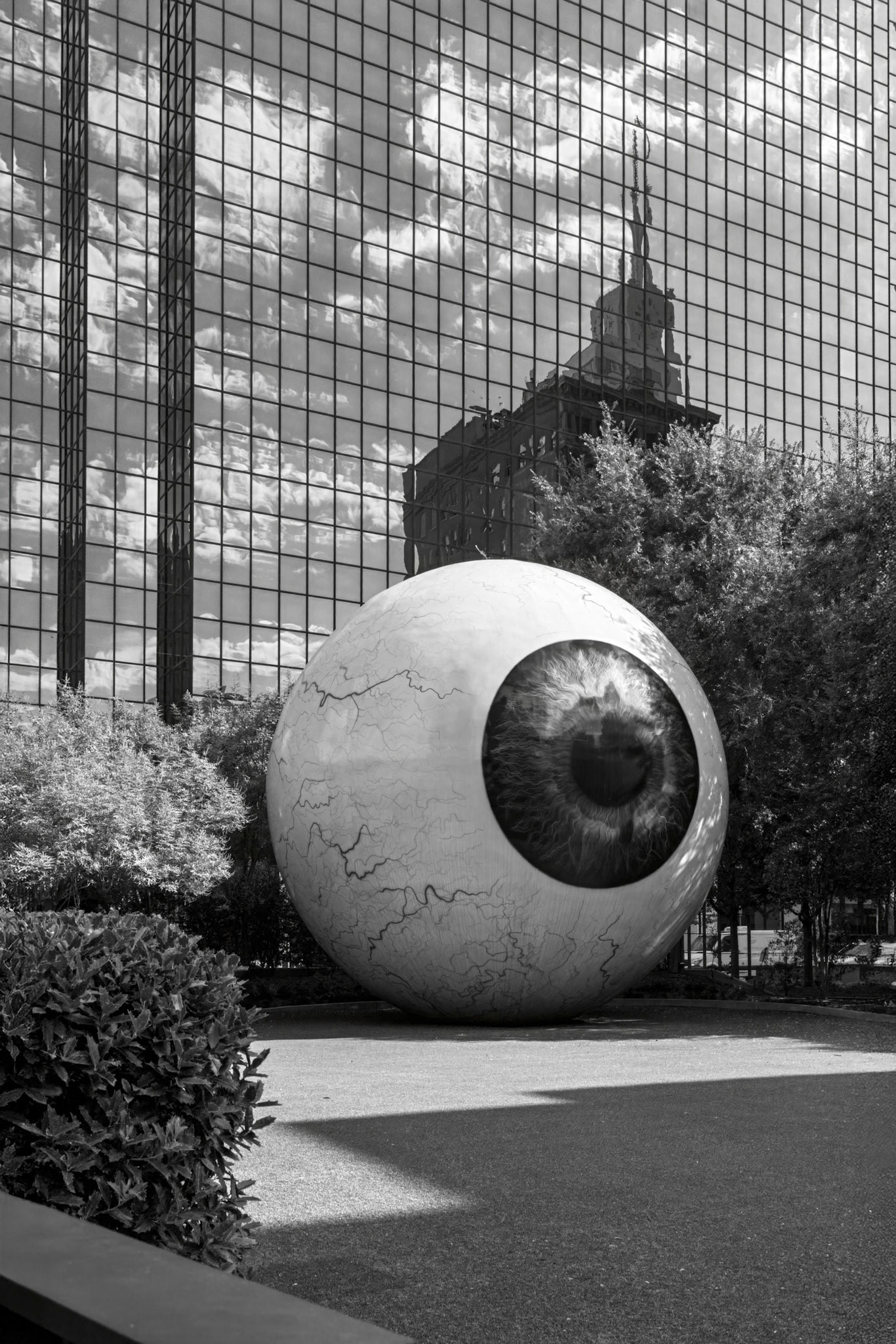 Eye In The Garden