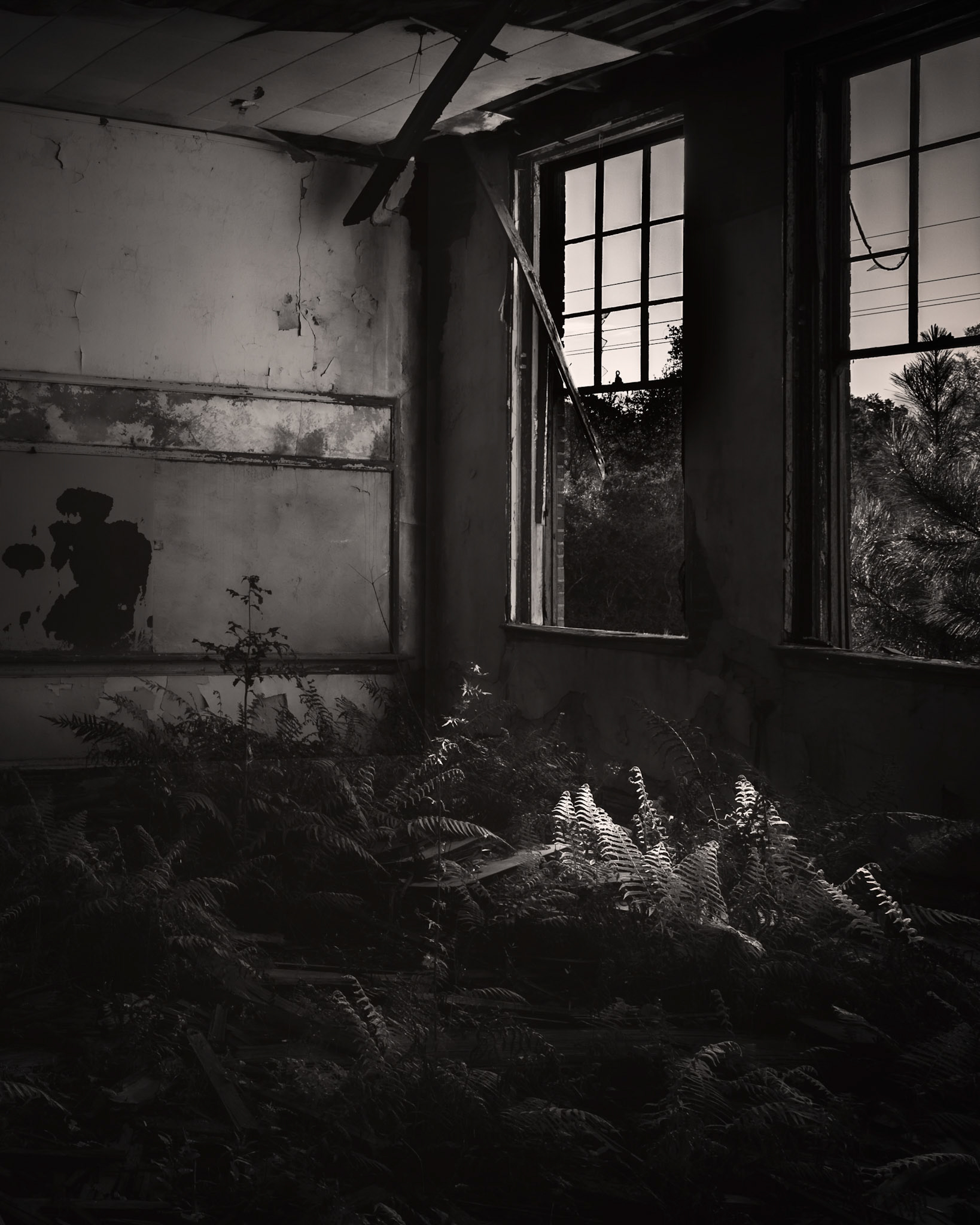 Mother Nature Always Wins