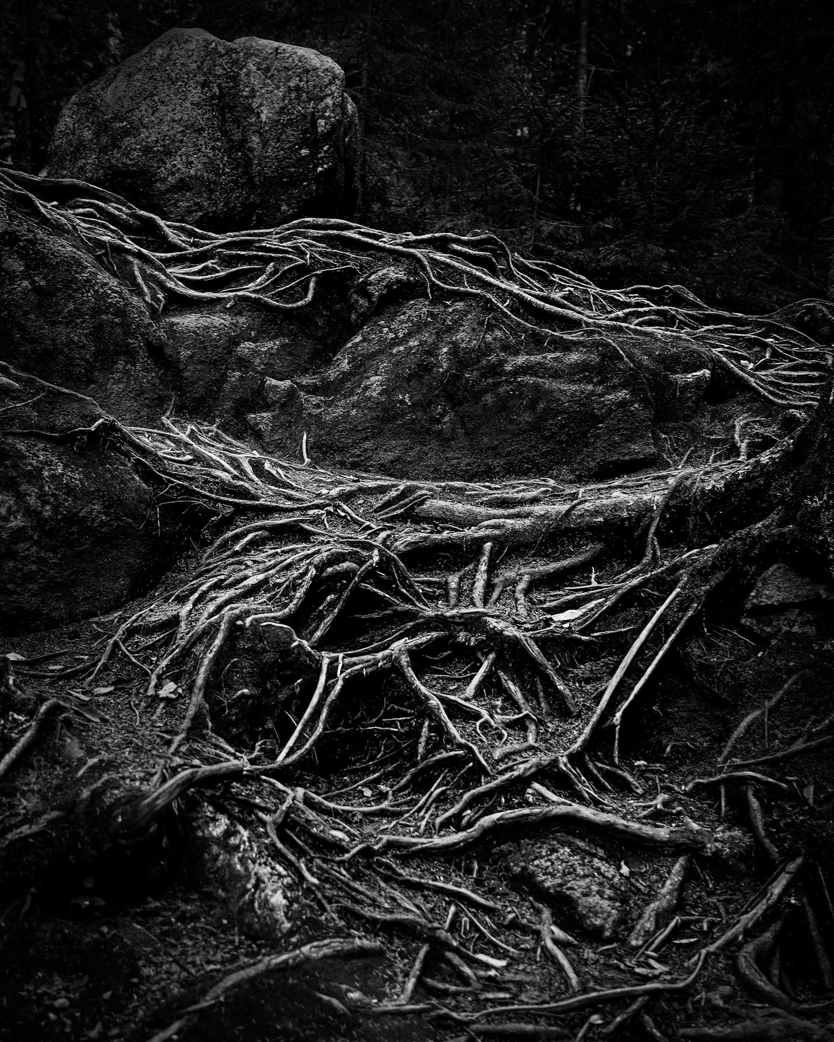 The Grip Of Time