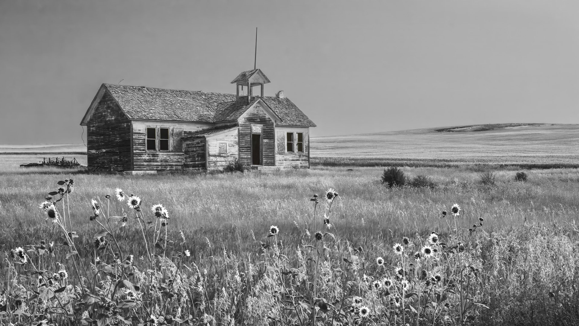 Flowers For The Teacher