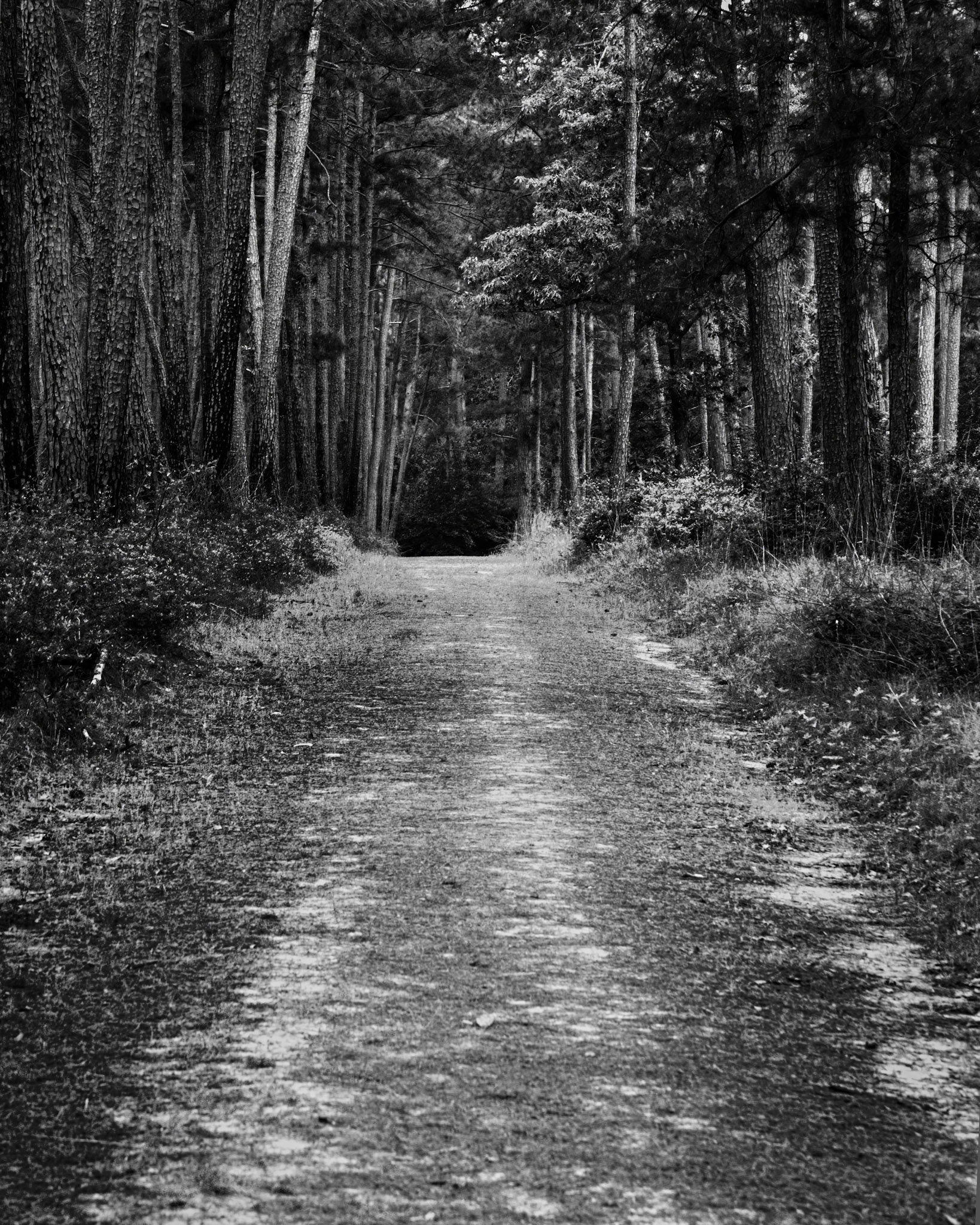 Cutoff Trail