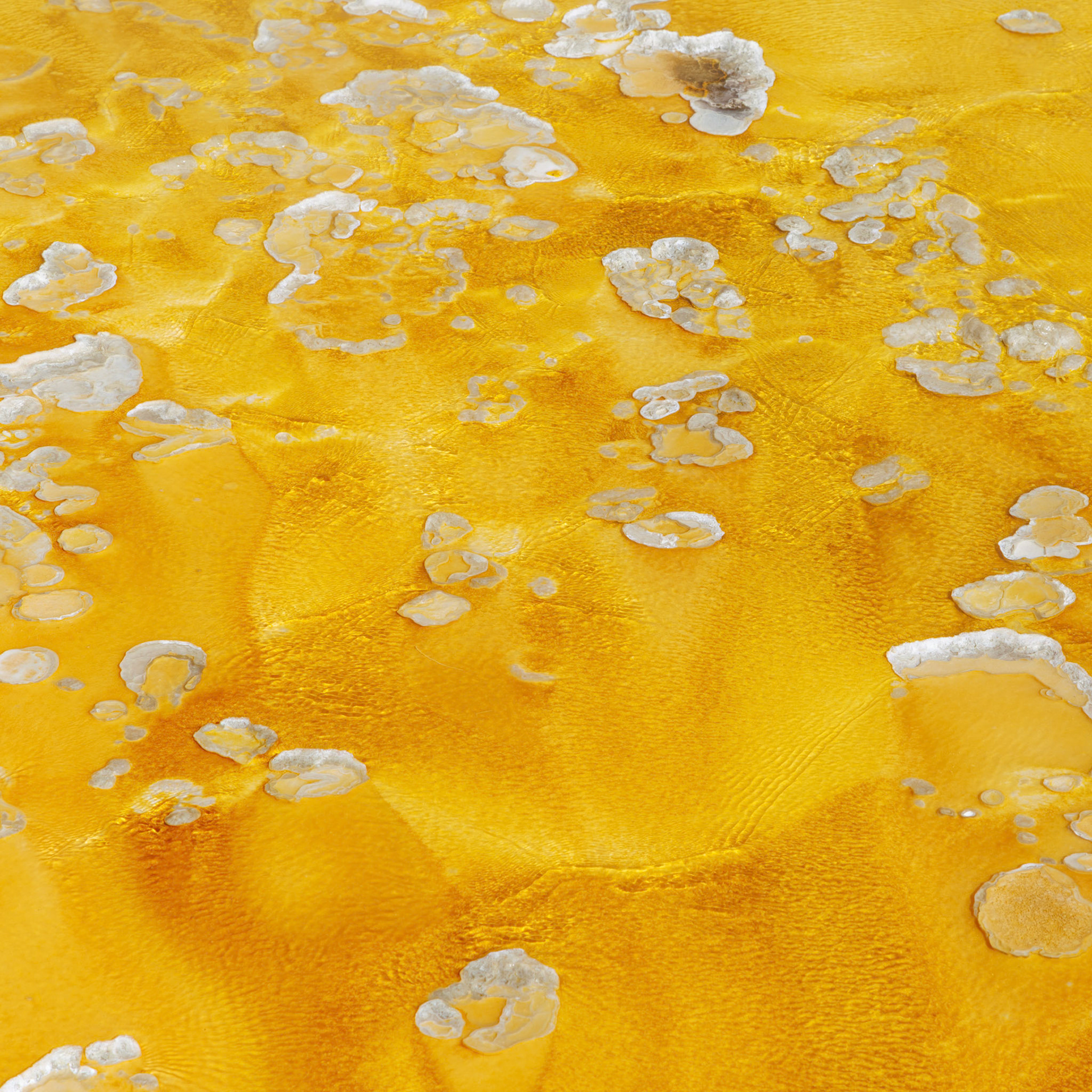 Natural Abstract In Yellow