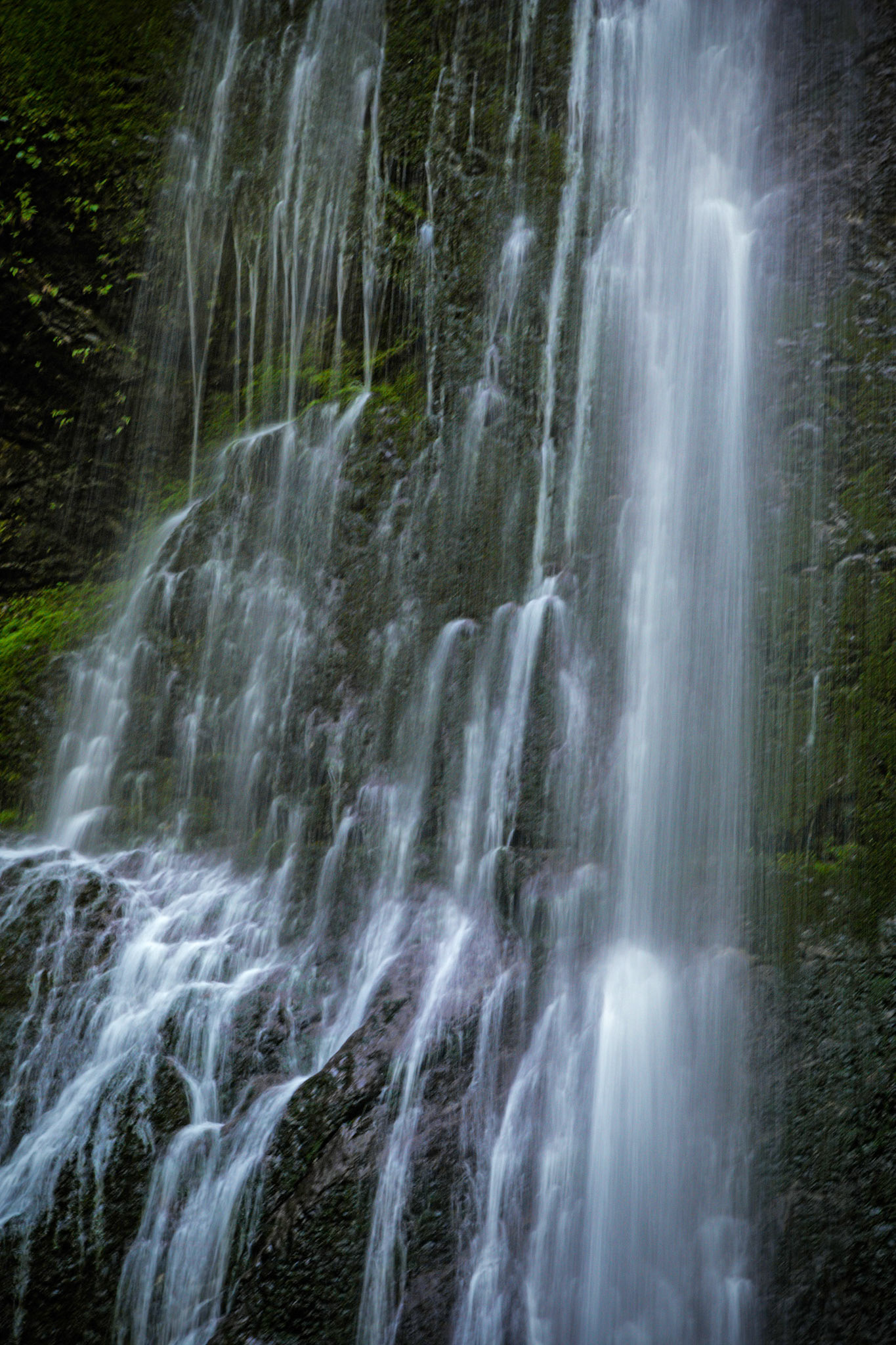 Marymere Falls
