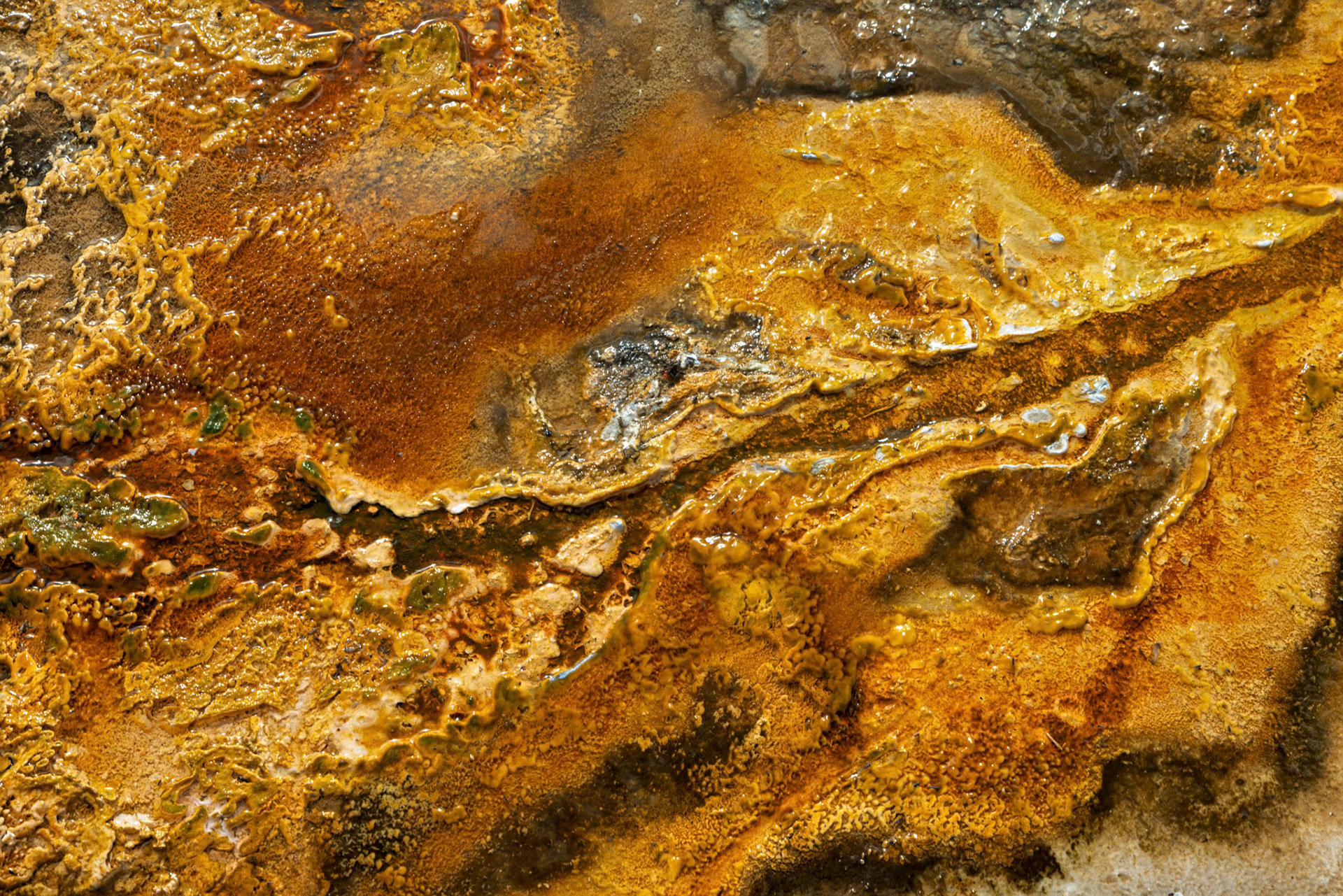 Thermal Tapestry