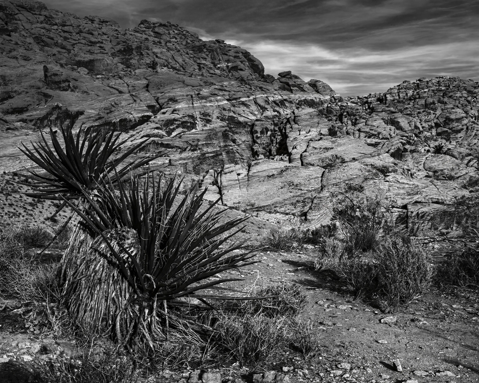 Red Rock Canyon