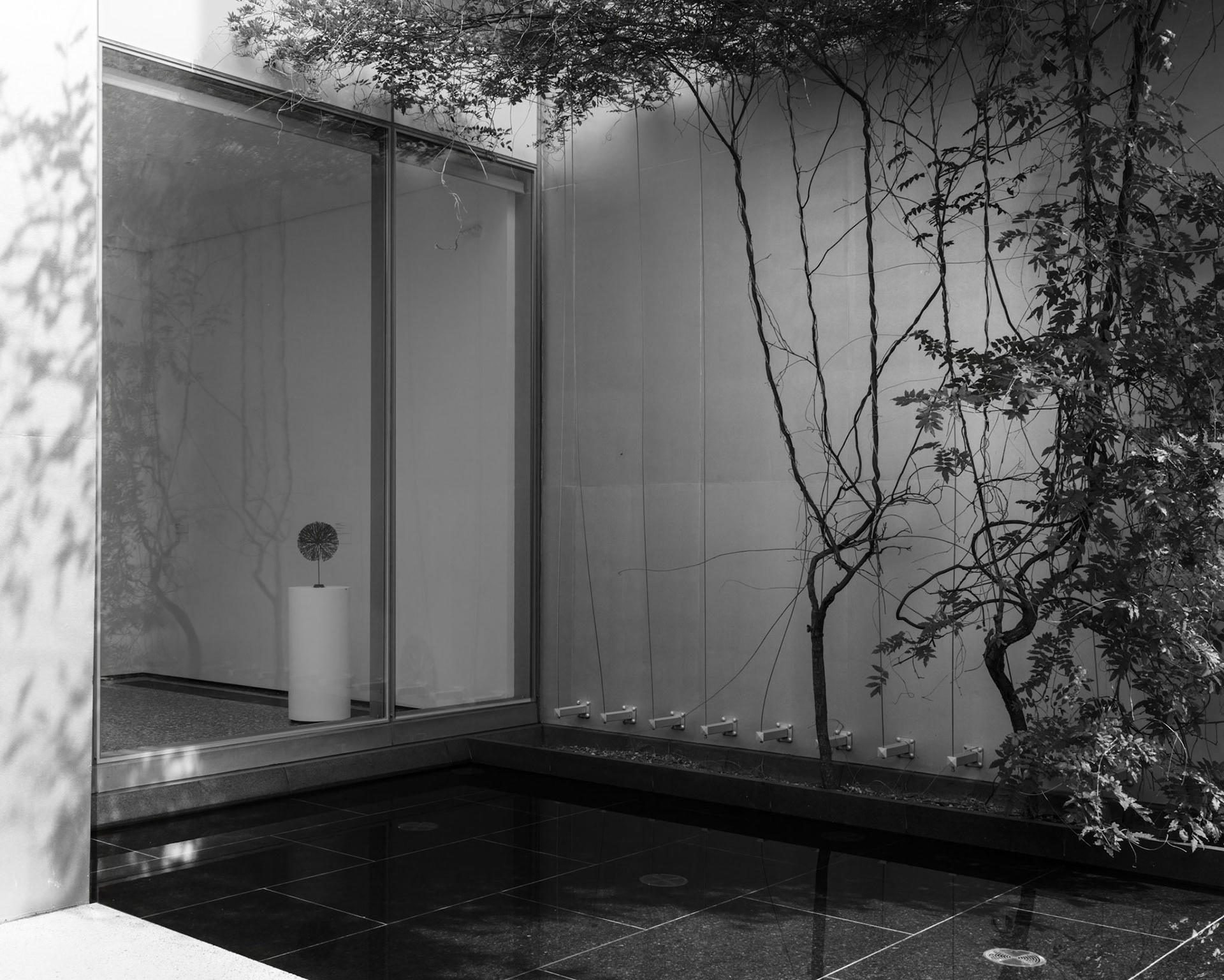 Interior Bloom