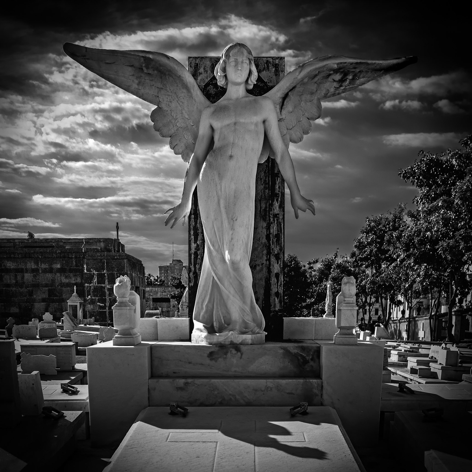 An Angel To Watch Over Them