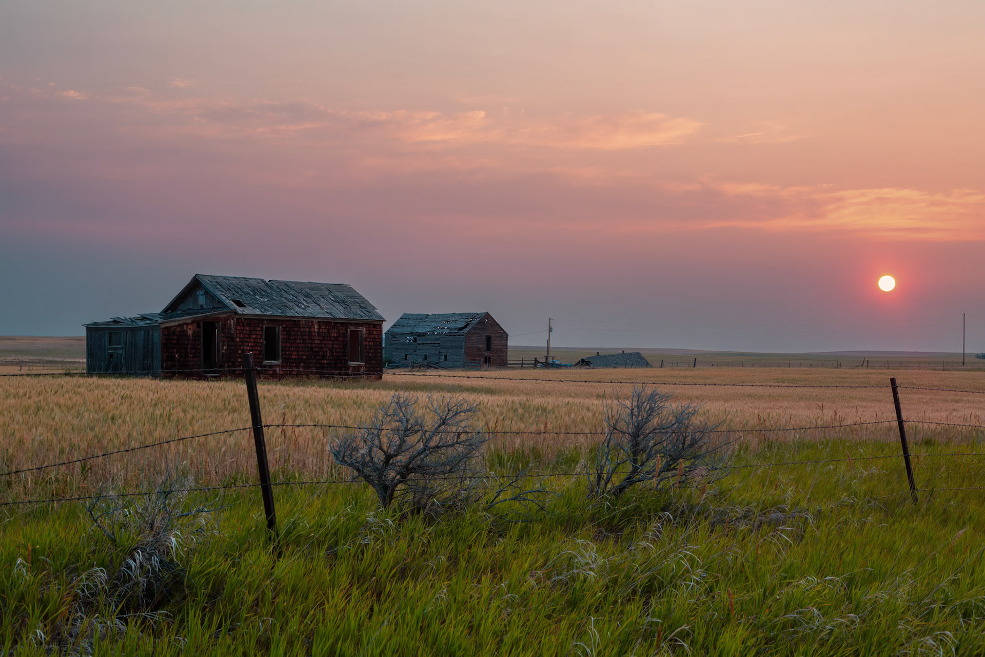 Sunrise on the Plains