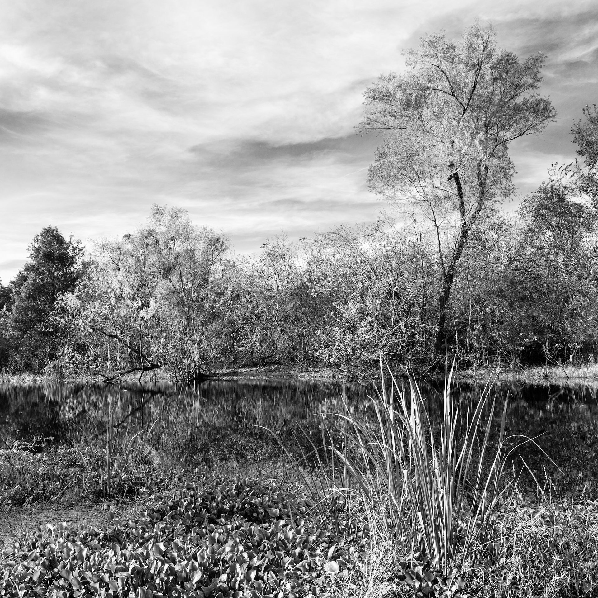 Along The Shore - Near And Far