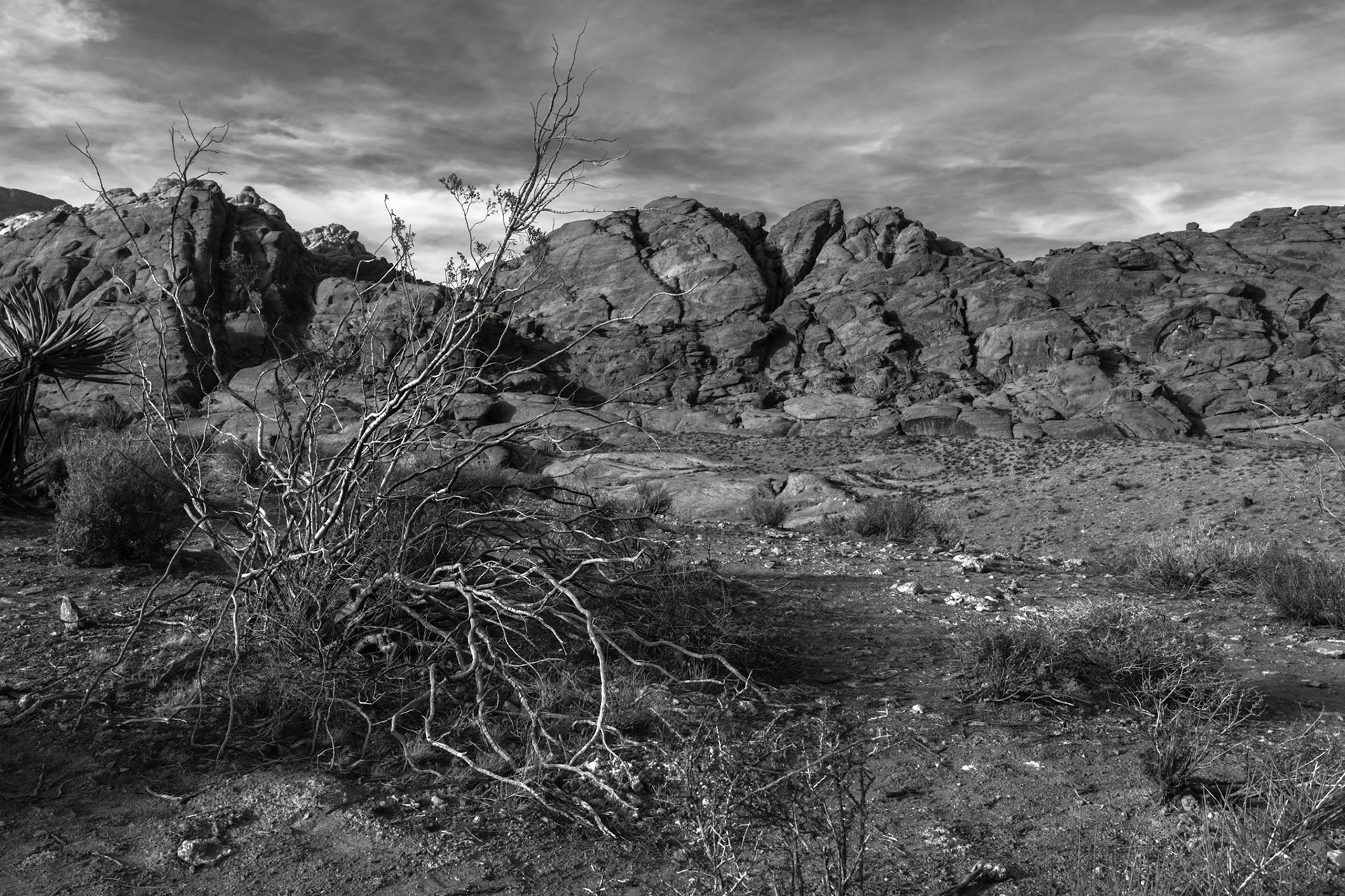 Red Rock Canyon