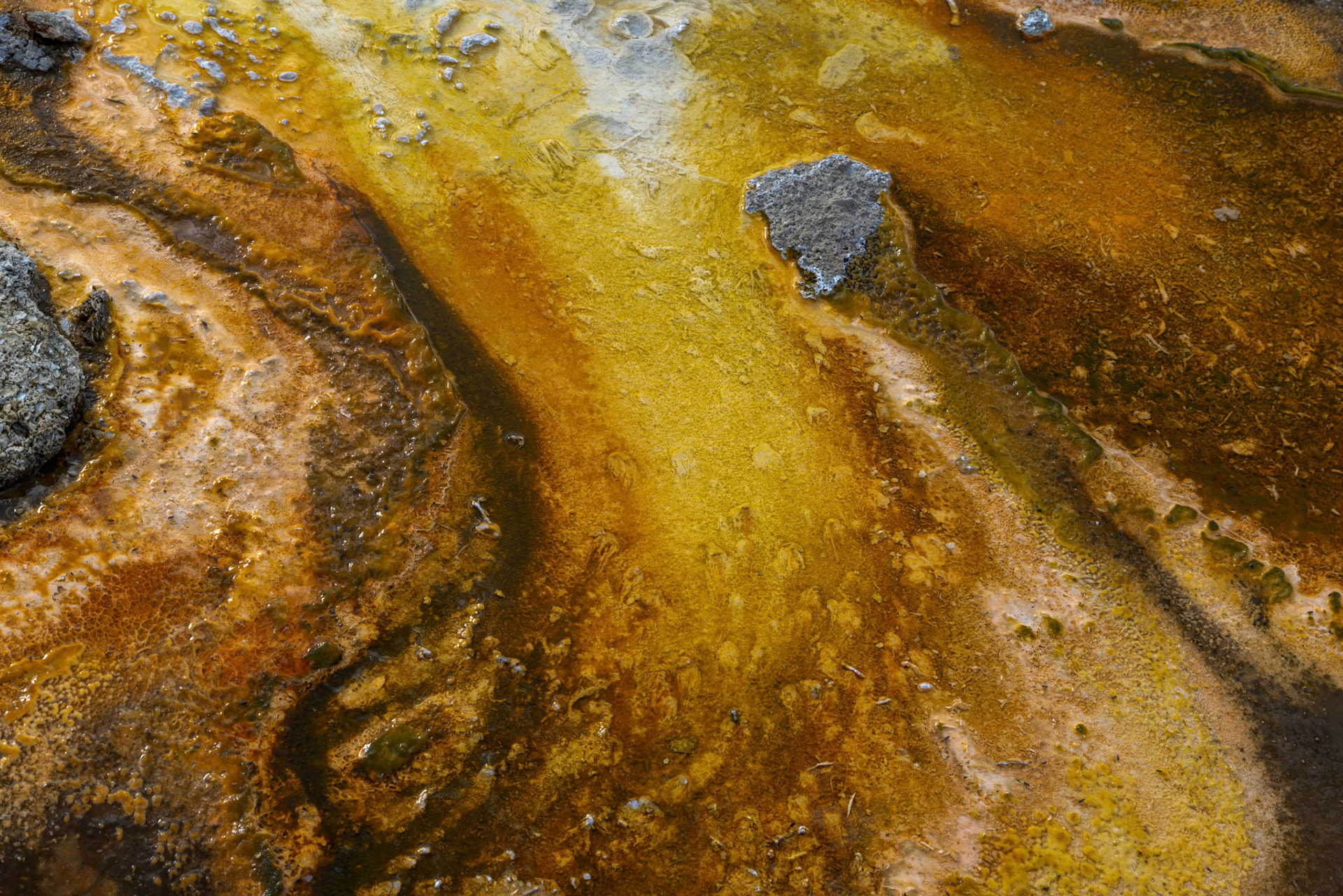 Flow In Yellow And Orange