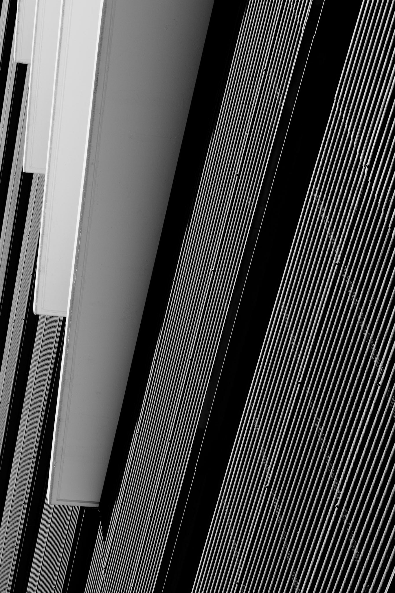 Abstract Brava