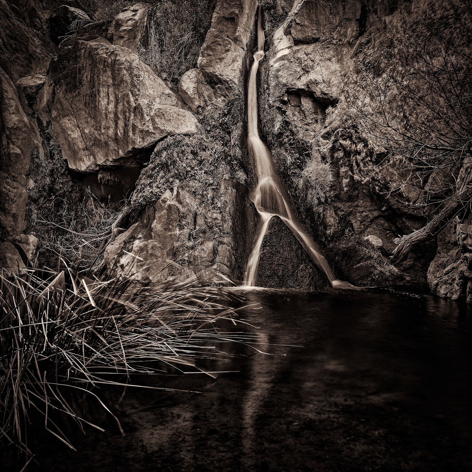 Darwin Falls - Death Valley National Park