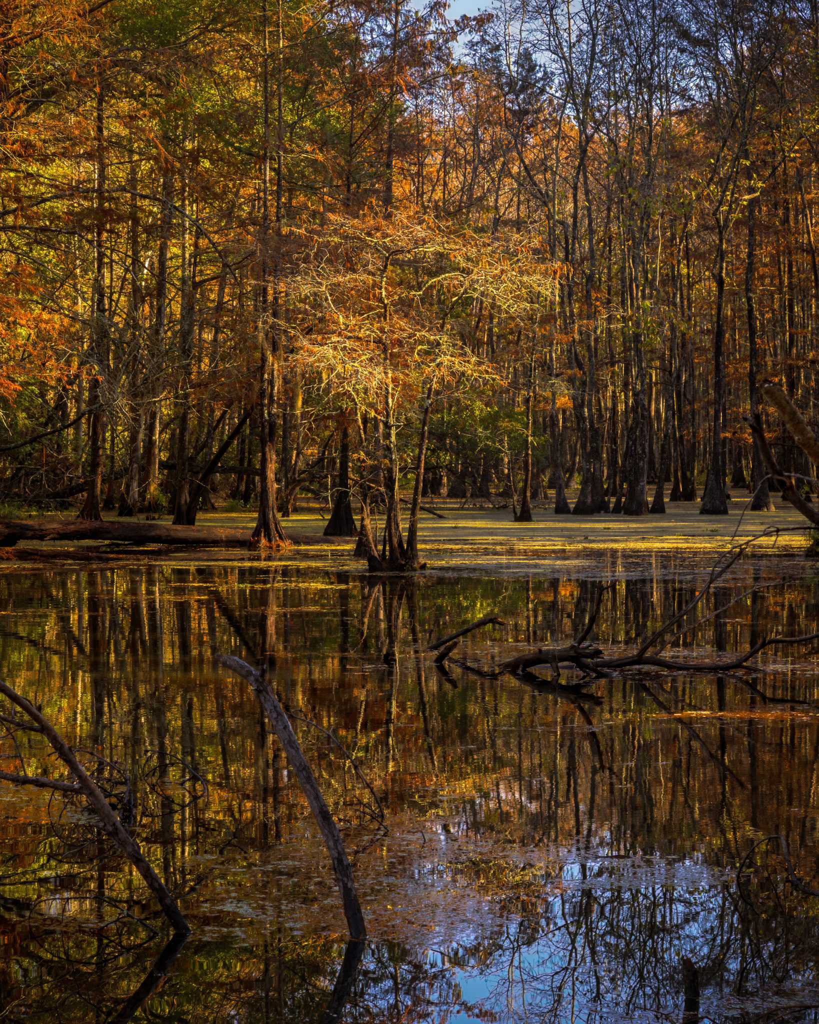 Autumn Morning Reflections