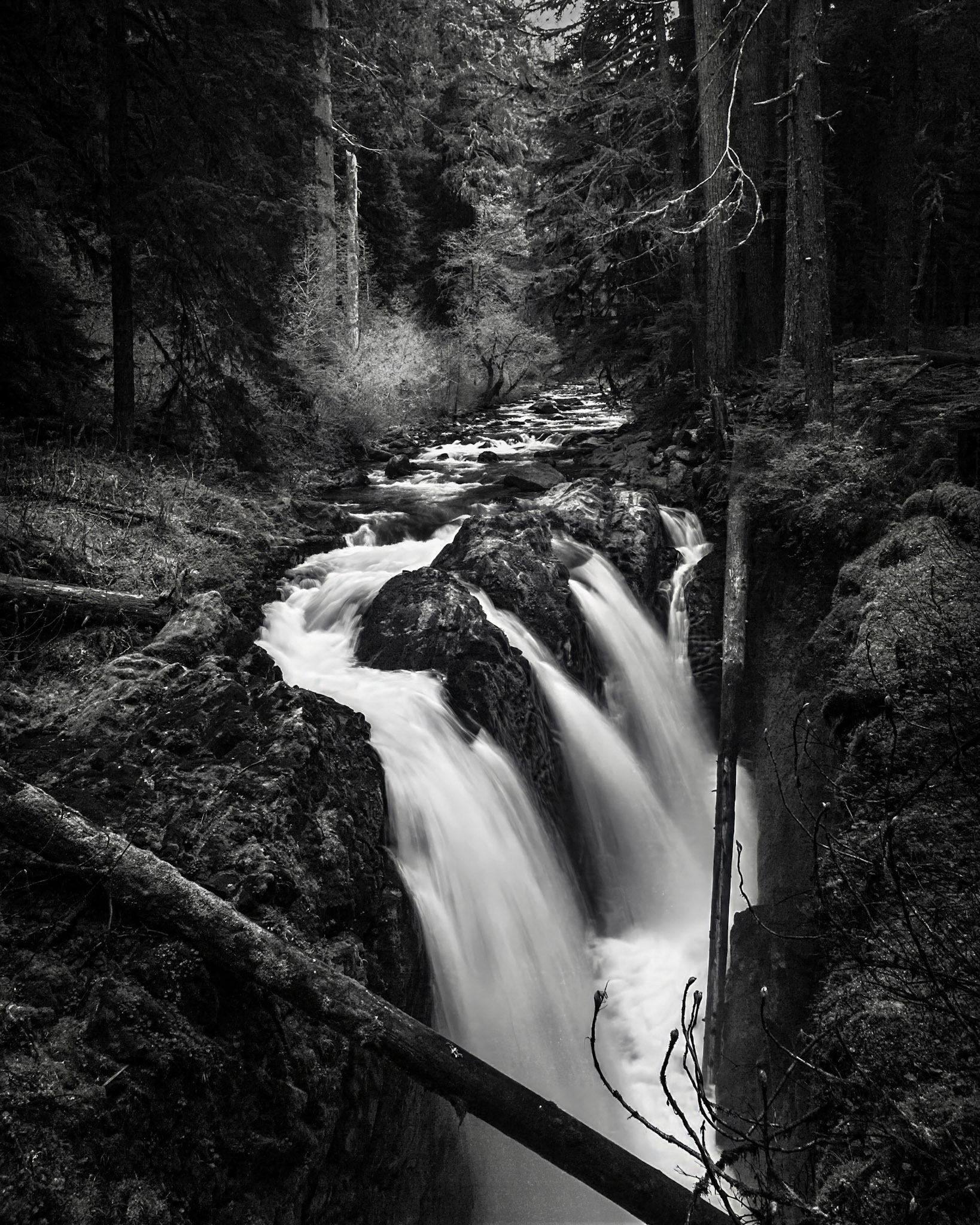 The Sol Duc