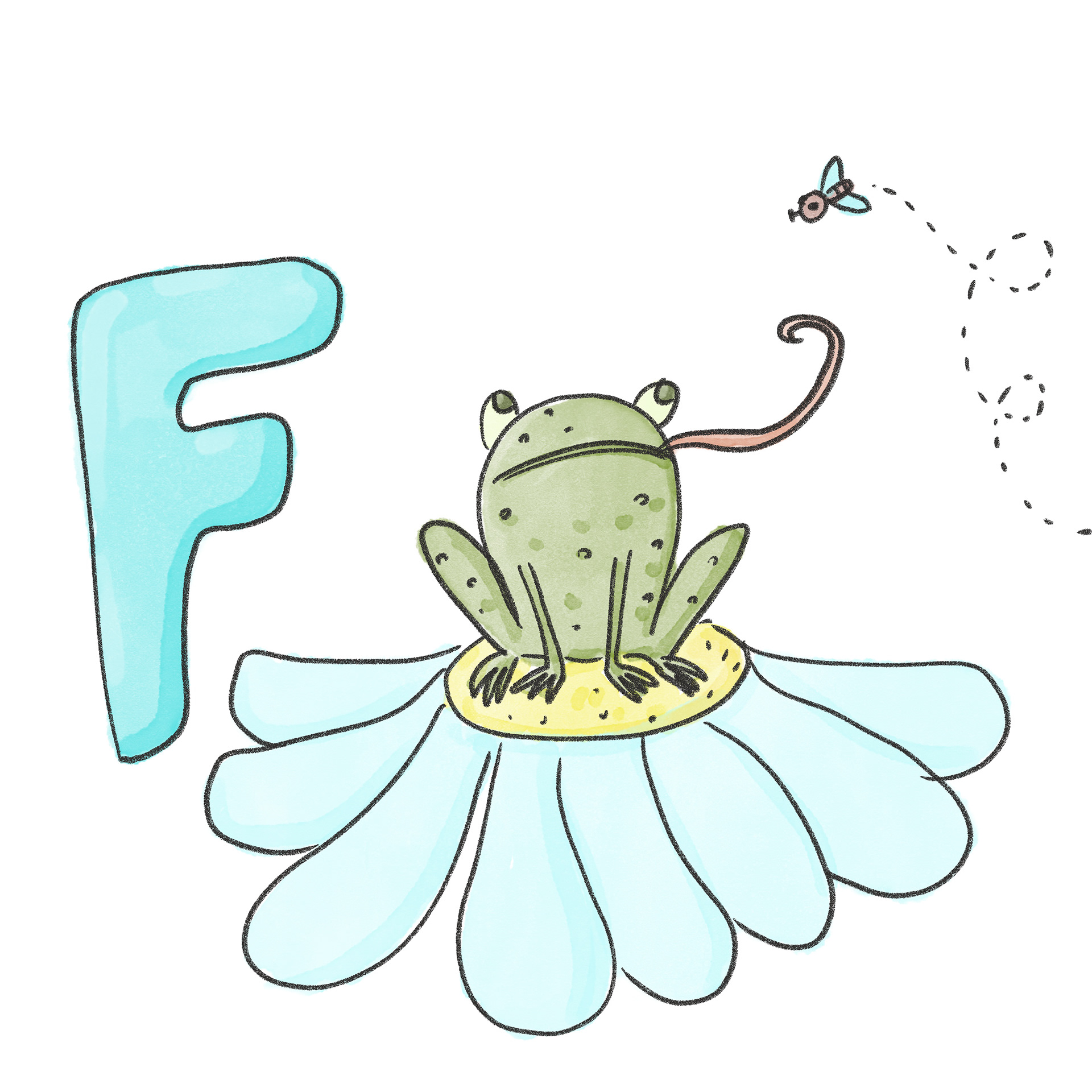 F - Frog, fly
