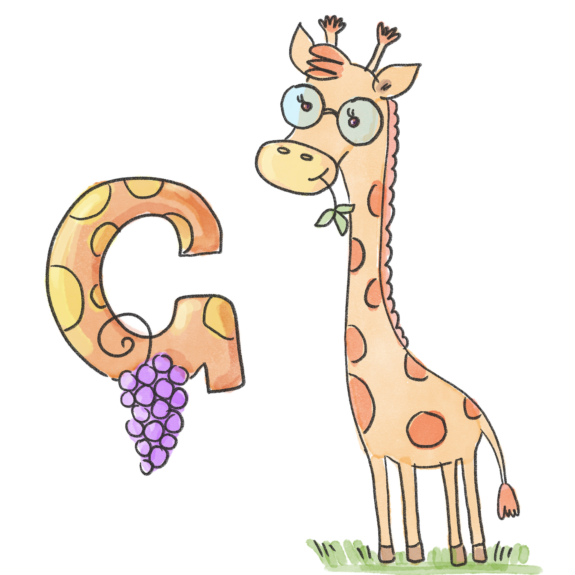 G - Giraffe, grape