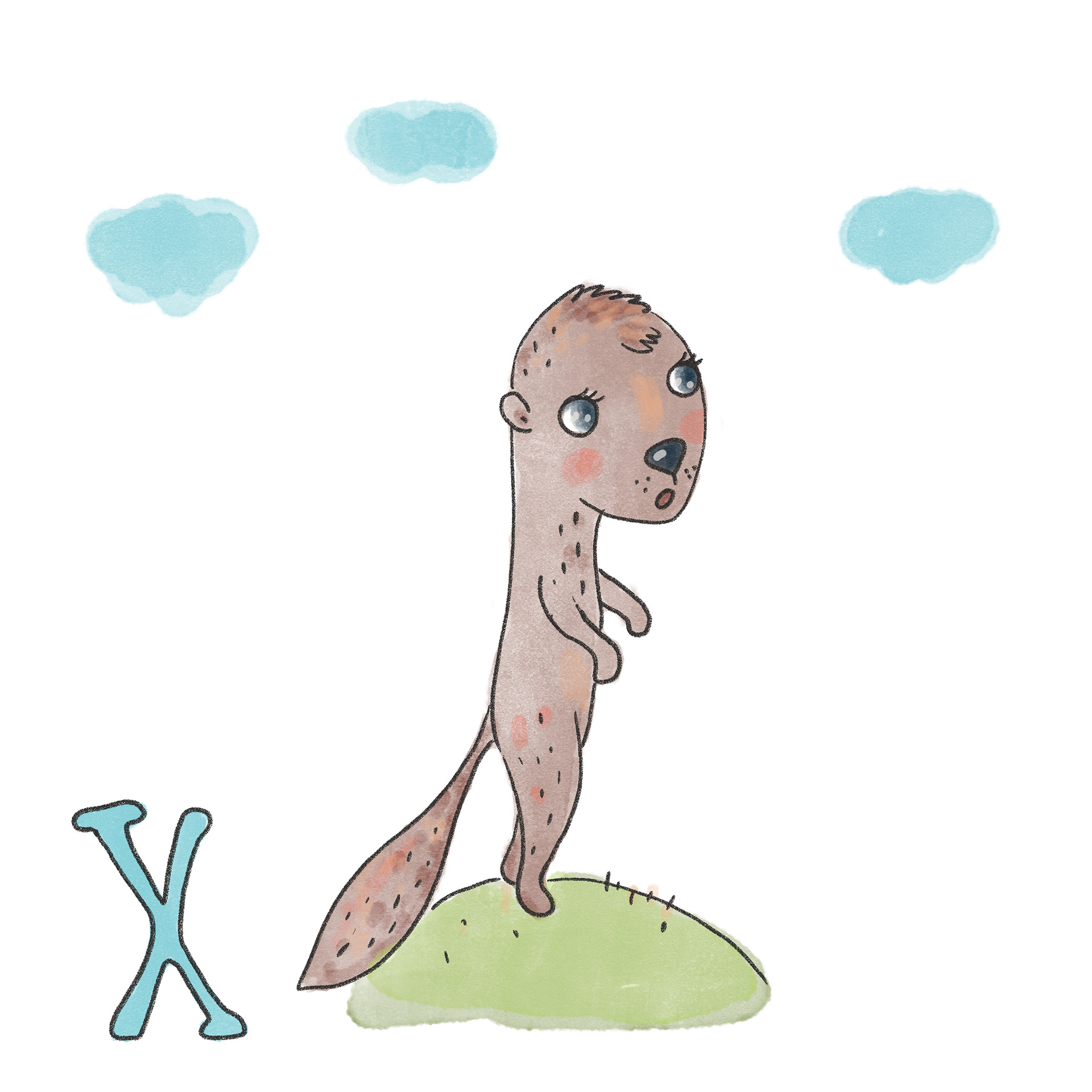 X - Xerus