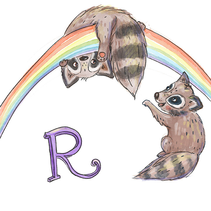 R - Racoon, rainbow