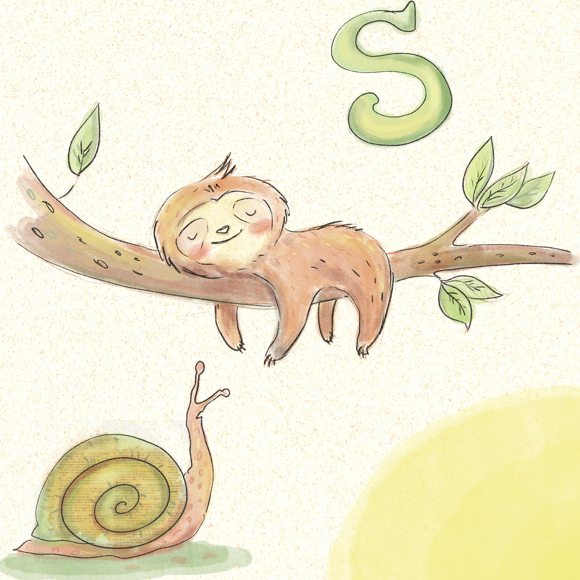 S - Snail, sloth
