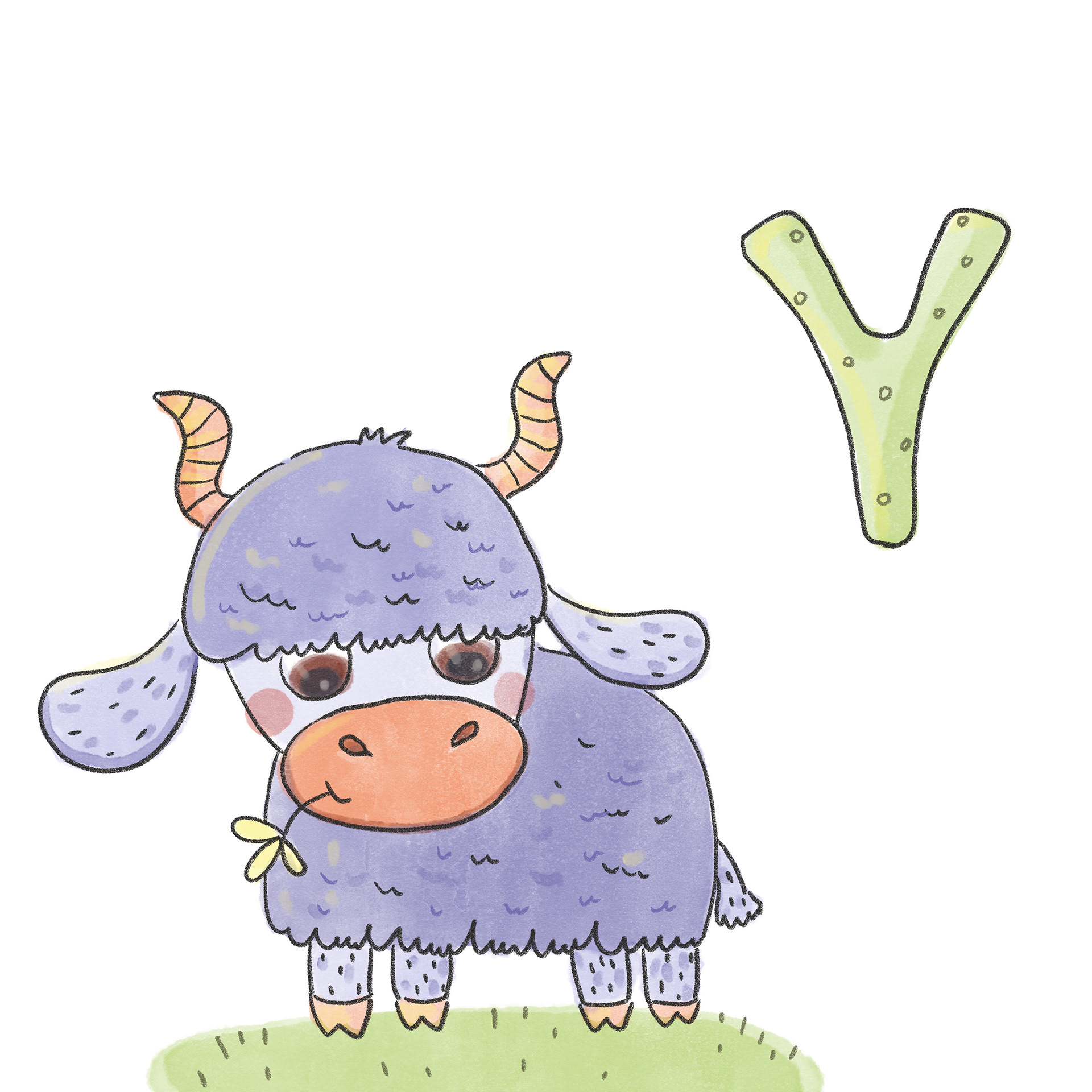 Y - Yak