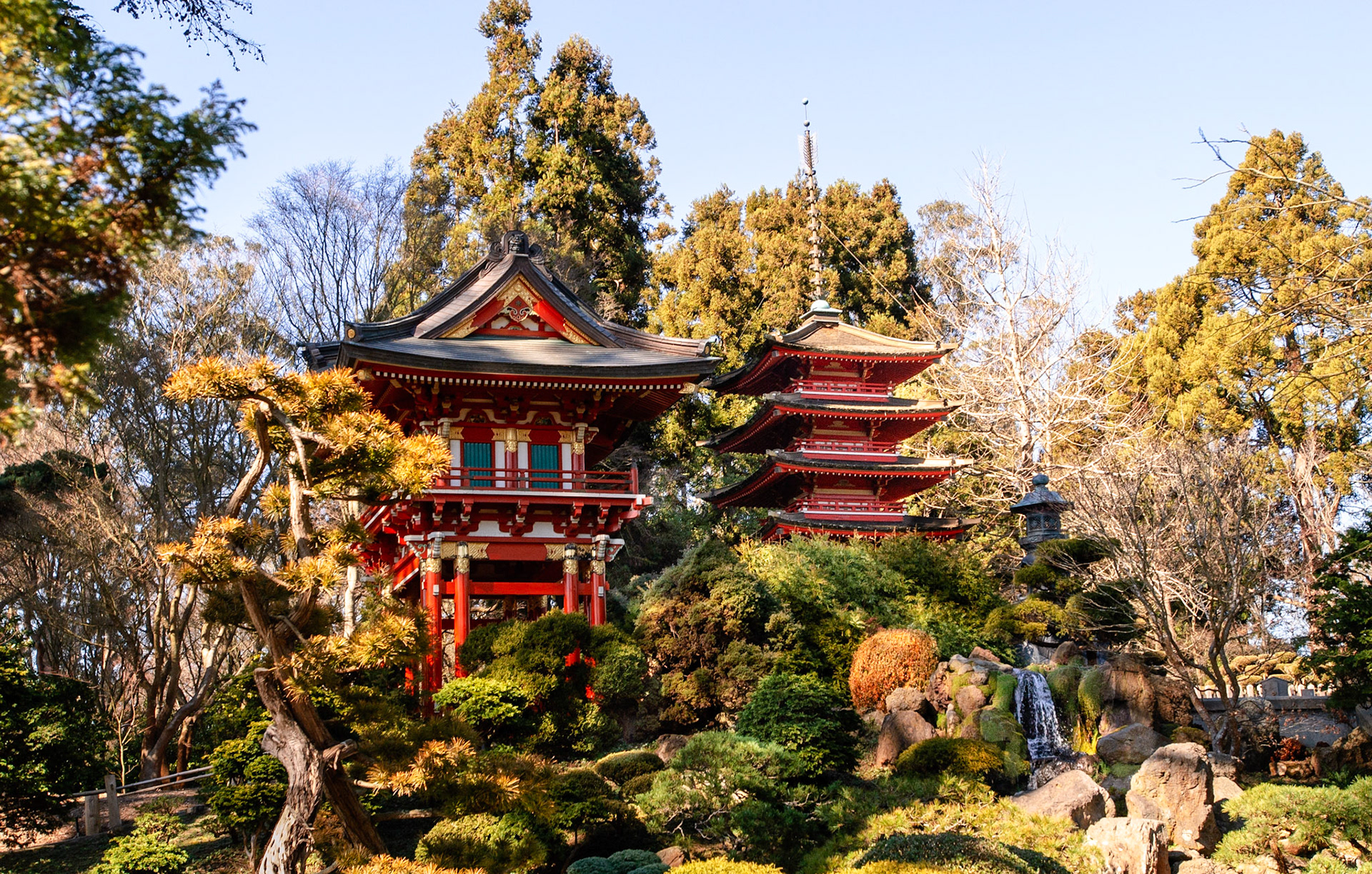 SF Japanese Tea Garden