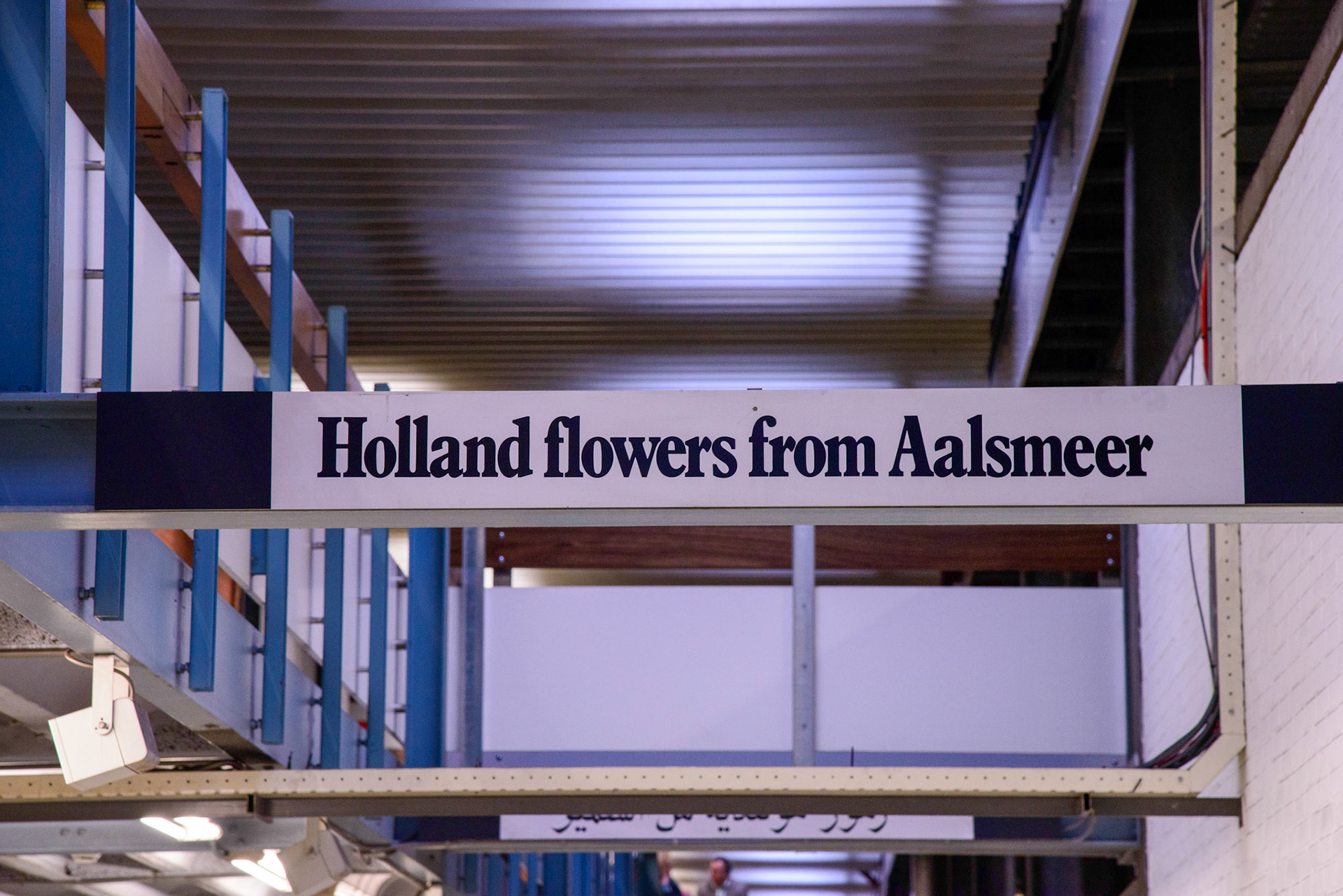 Aalsmeer Flower Auction is a flower auction that takes place in Aalsmeer, Netherlands. It is the largest flower auction in the world. The Aalsmeer Flower Auction building is the fourth largest building by footprint in the world, covering 518,000 square metres. Flowers from all over the world — Europe, Israel, Ecuador, Colombia, Ethiopia, Kenya, and other countries — are traded every day in this gigantic building.