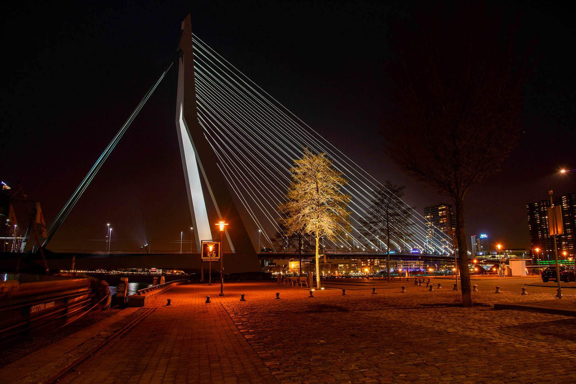Erasmus Bridge, Rotterdam