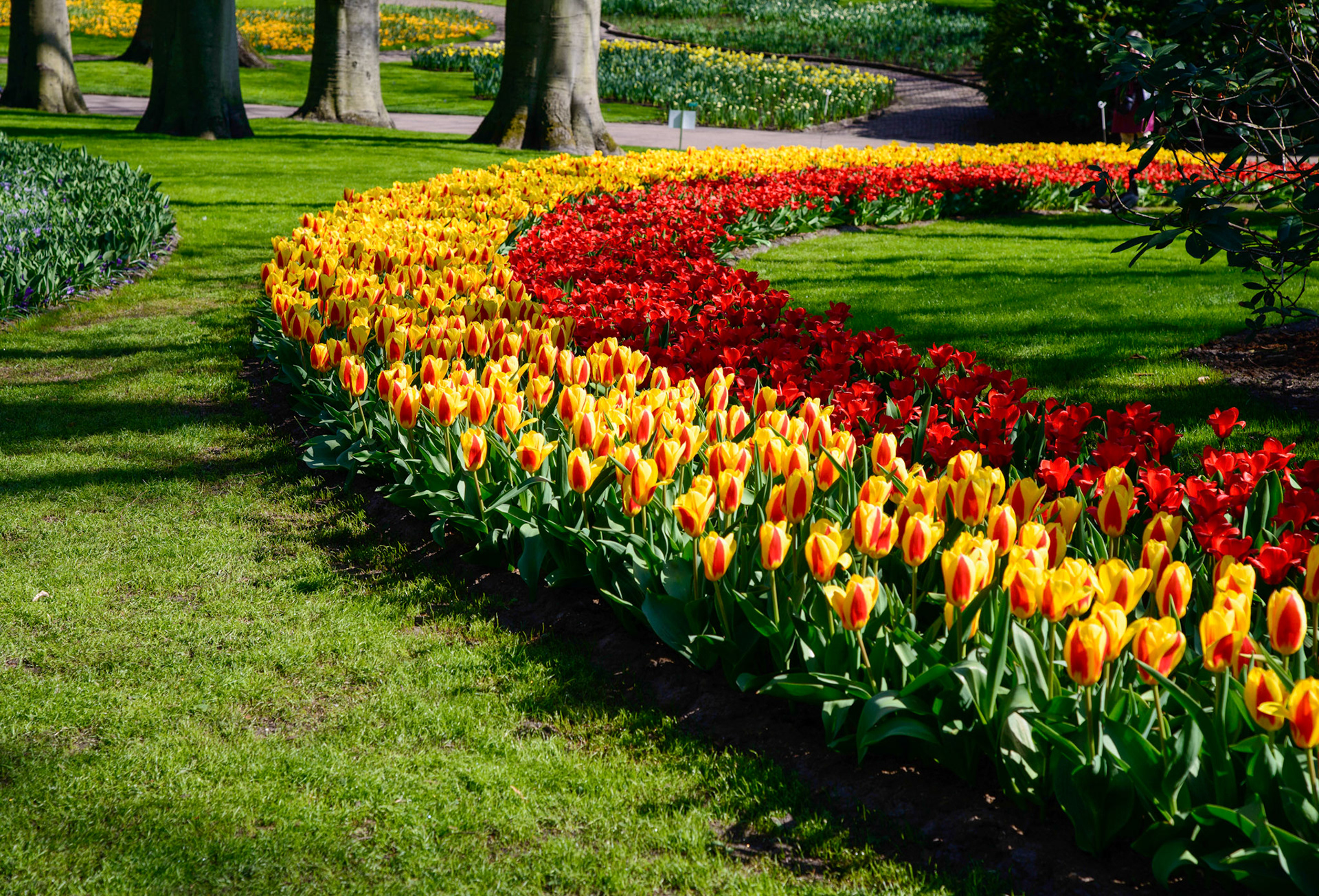 Keukenhof Gardens